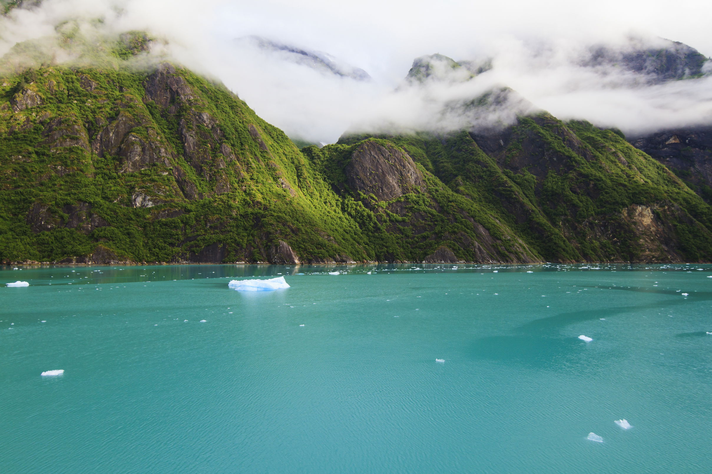 Parque nacional y reserva de la Bahía de los Glaciares, por David Pino