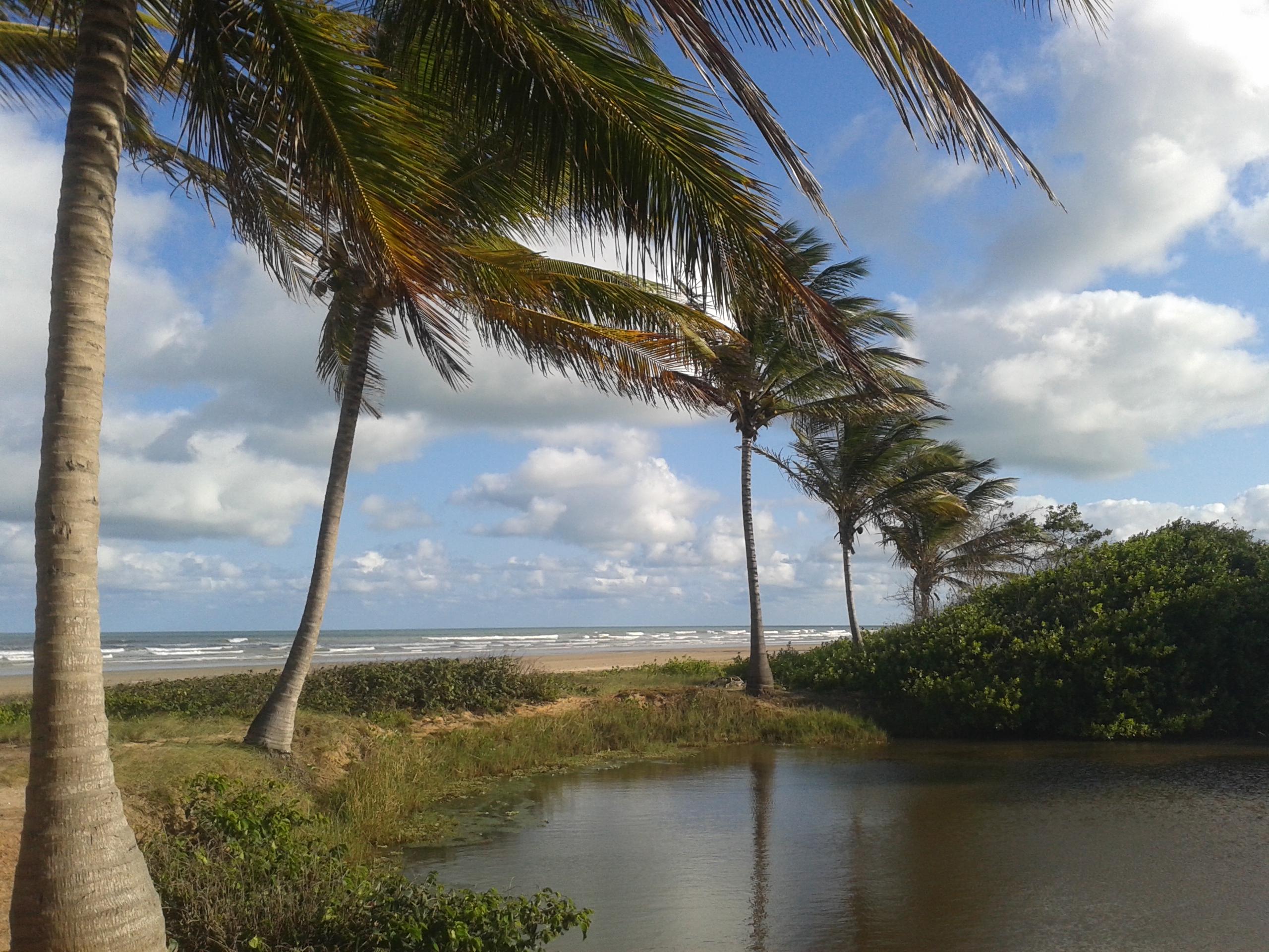 Playas de Coruripe: descubre un paraíso de belleza y tranquilidad