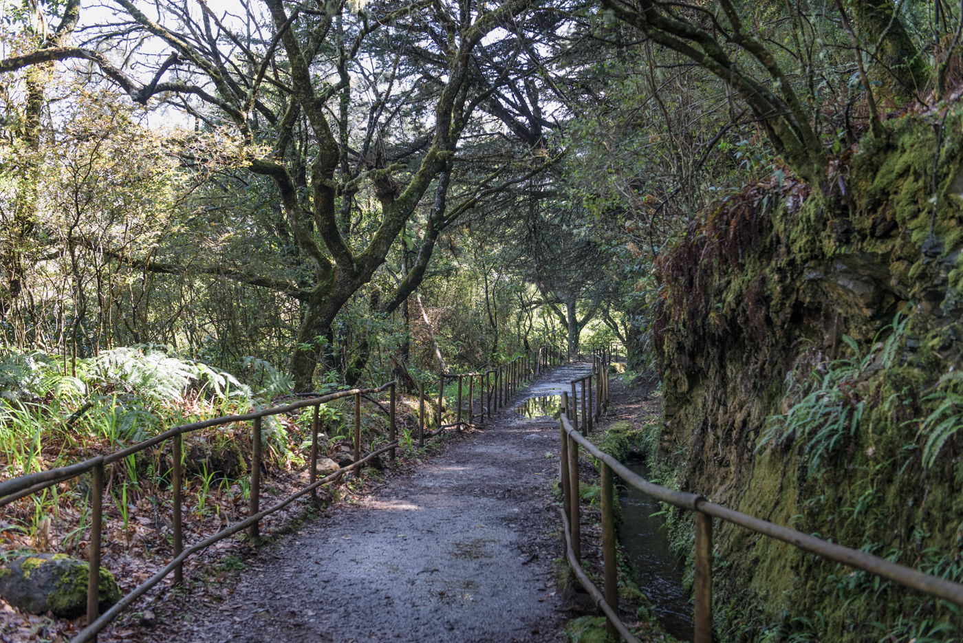 Levada Pico das Pedras a Queimadas, por Ignacio Izquierdo