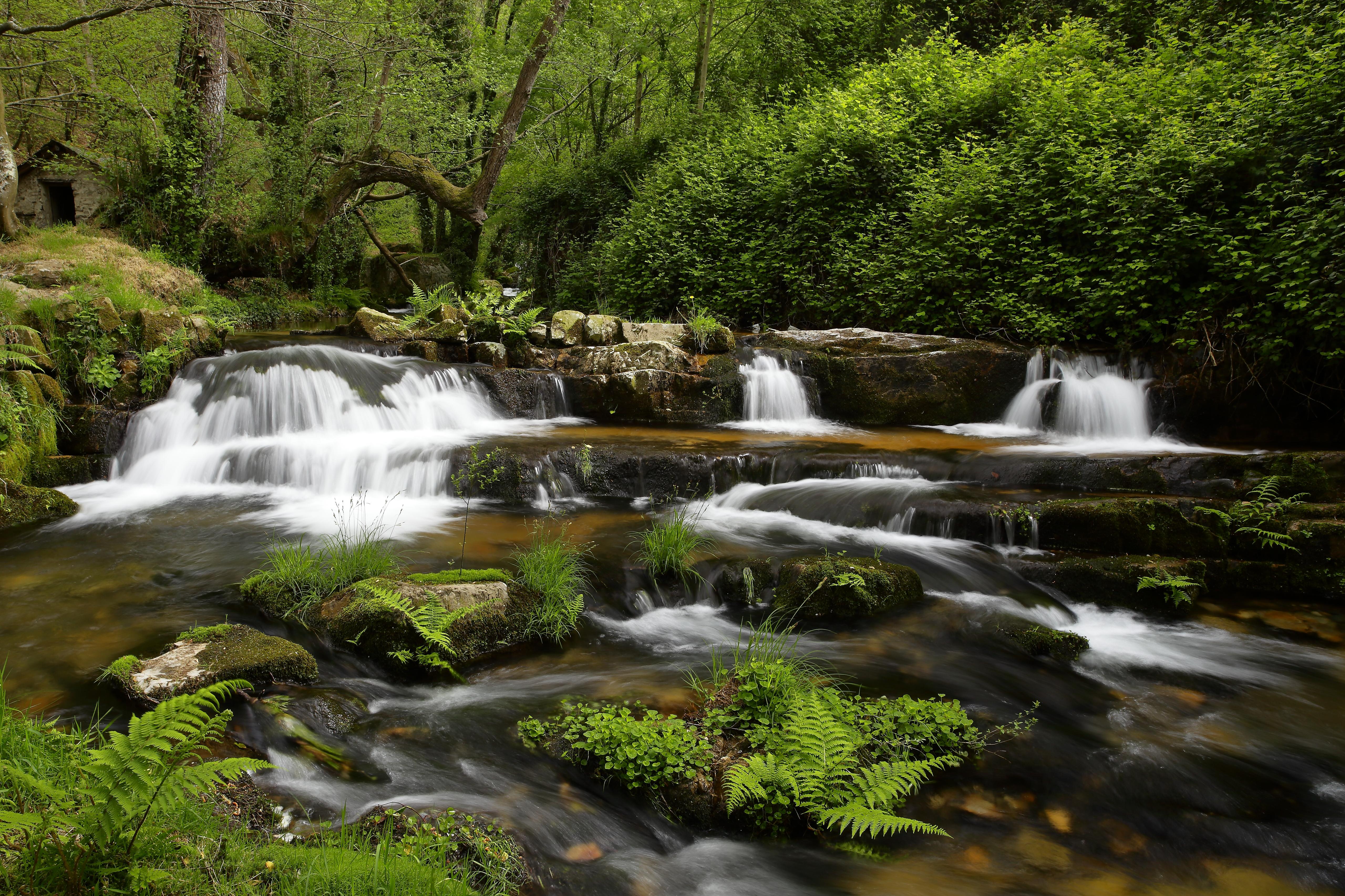 Ríos en Asturias: un recorrido por la belleza natural y la aventura