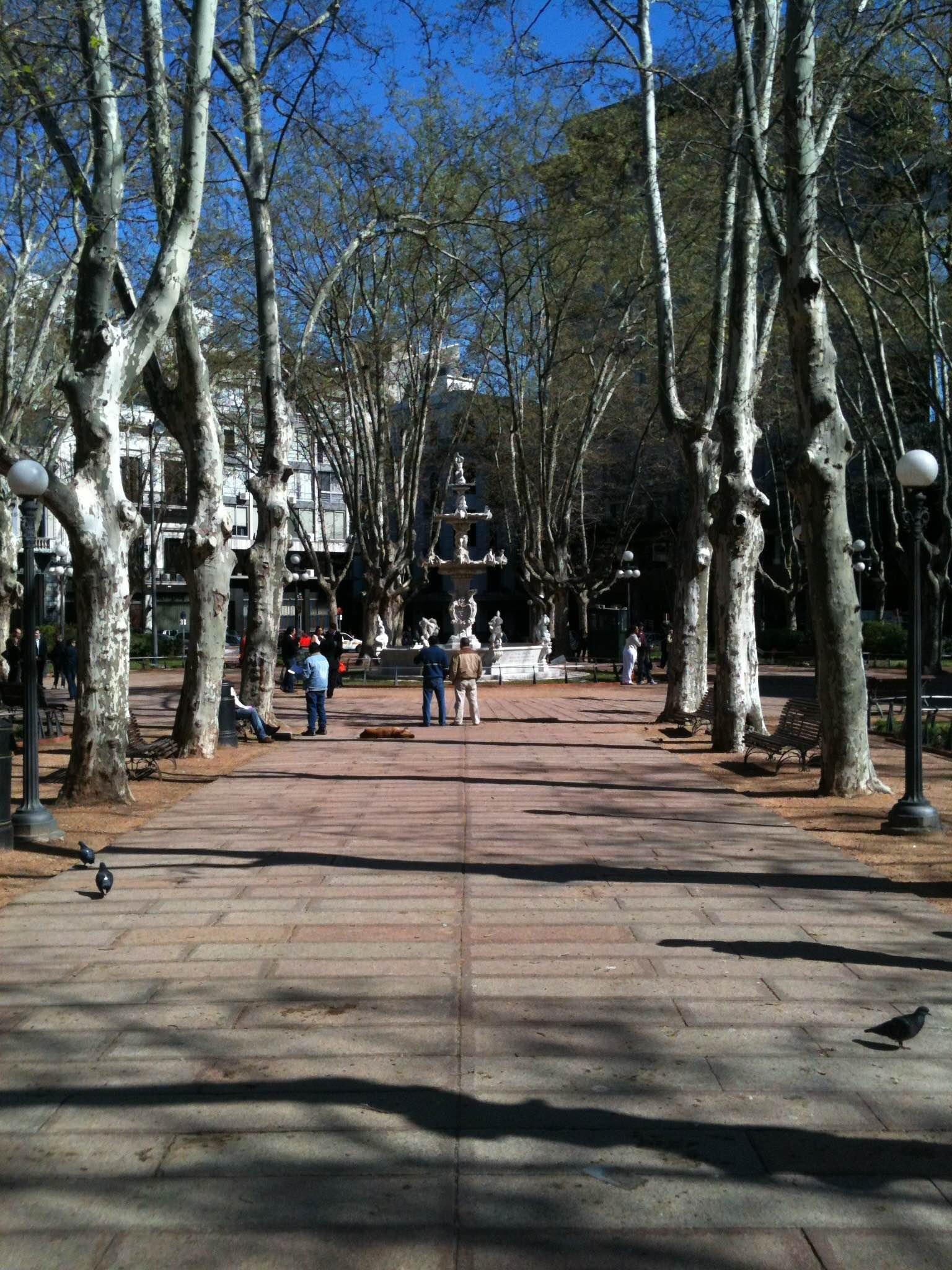 Plaza de la Constitución, por Rodrigo Fabre Feltrin