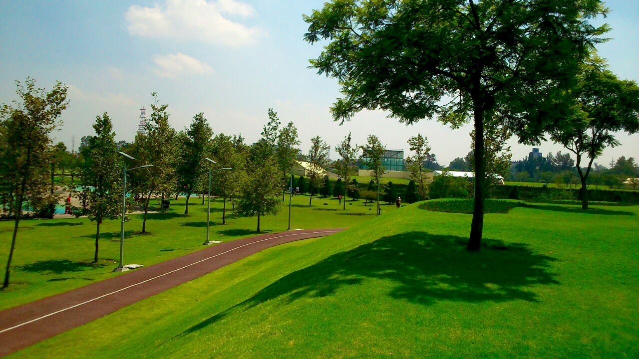 Deporte en el Parque Bicentenario, por Ale Campos