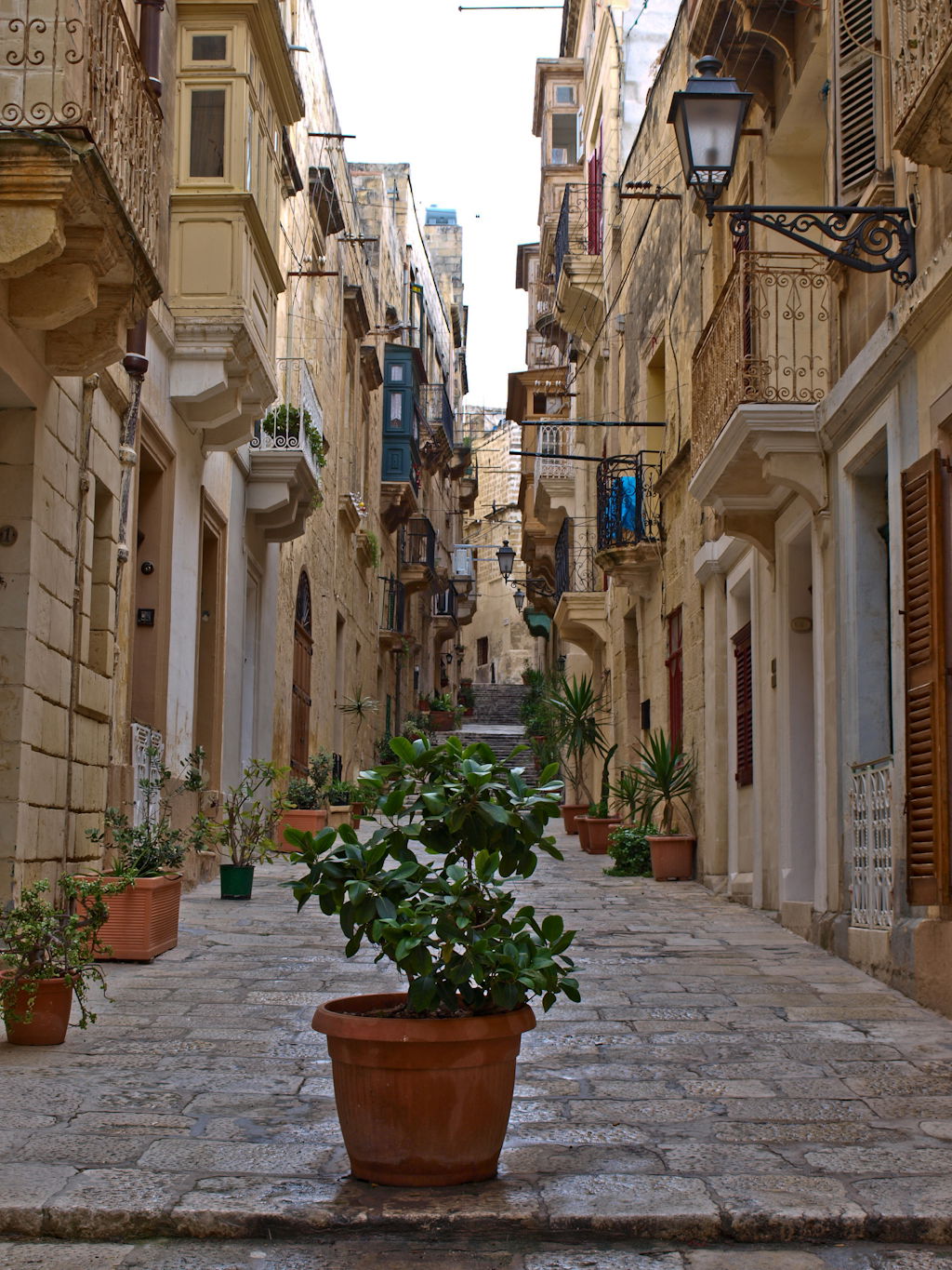 Vittoriosa, por Carmen Pérez del Olmo Teira