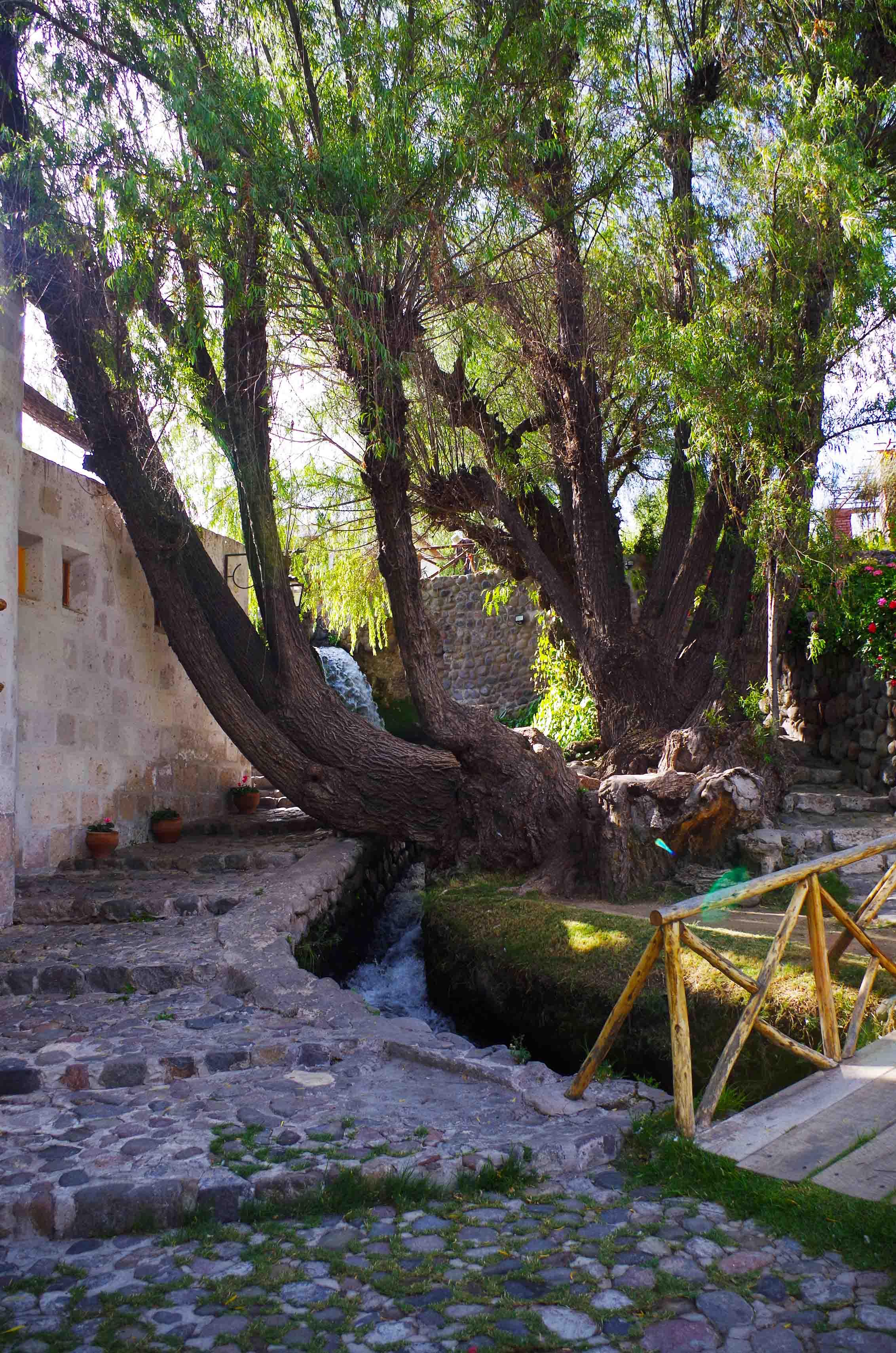 Maravillas naturales: explorando reservas naturales en Arequipa