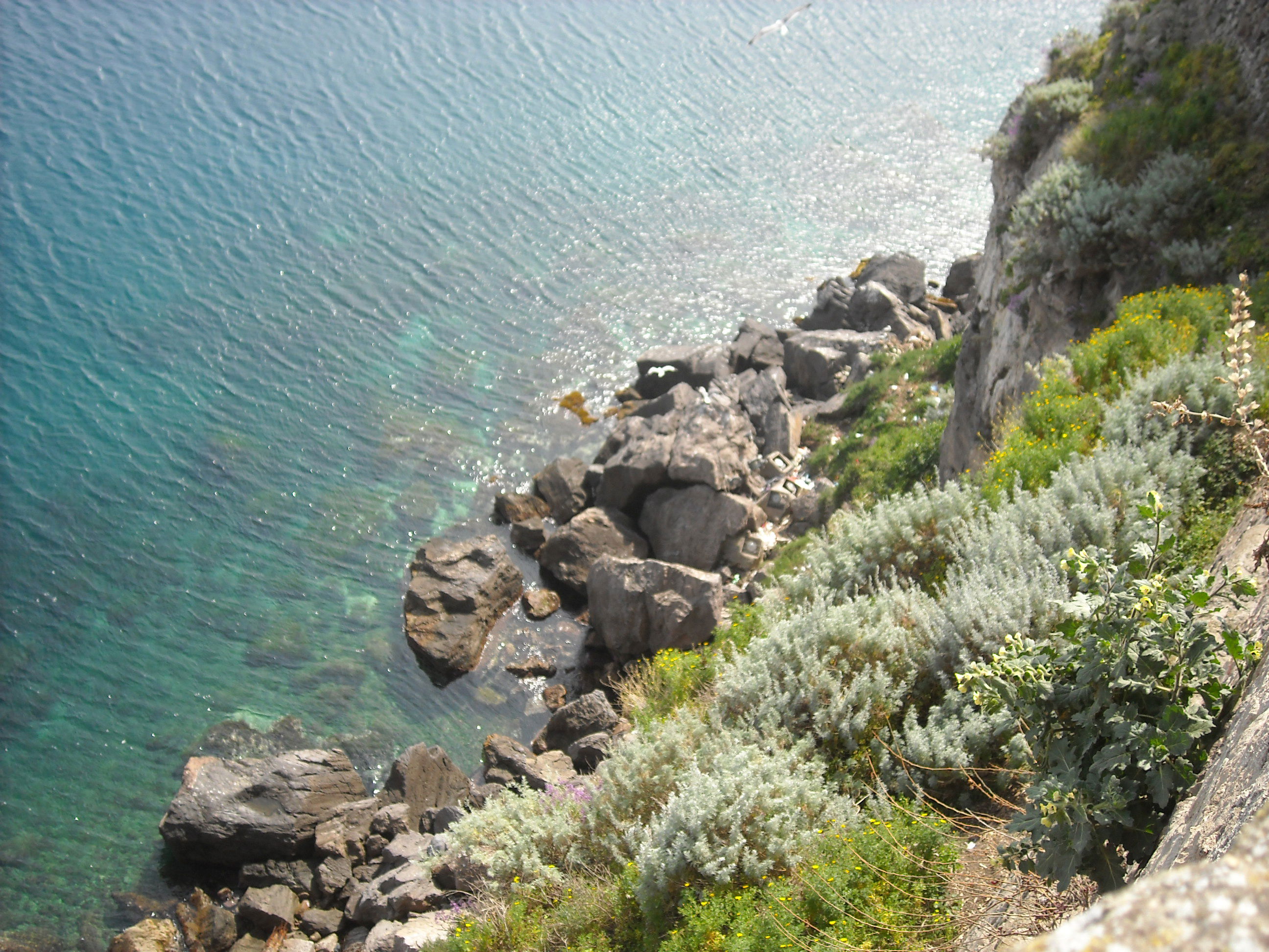 Isla de Lipari, por lucia 
