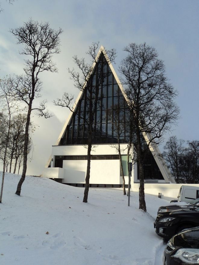 La Catedral Ártica, por Rosario Arnau