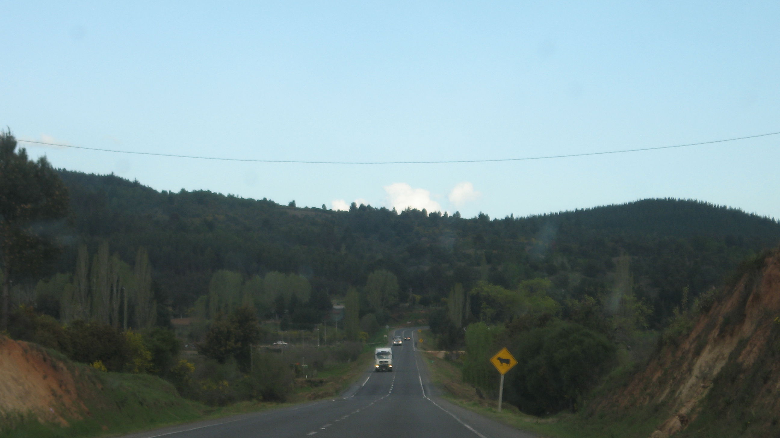 Ruta de la madera, por Fernando Meneses Fuentes