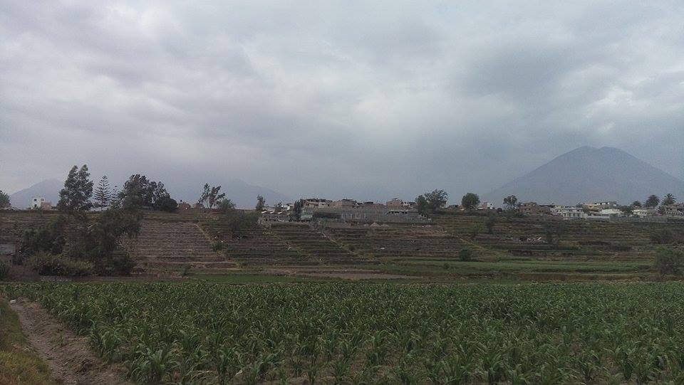 Andenes de Paucarpata, por César - Mochilero