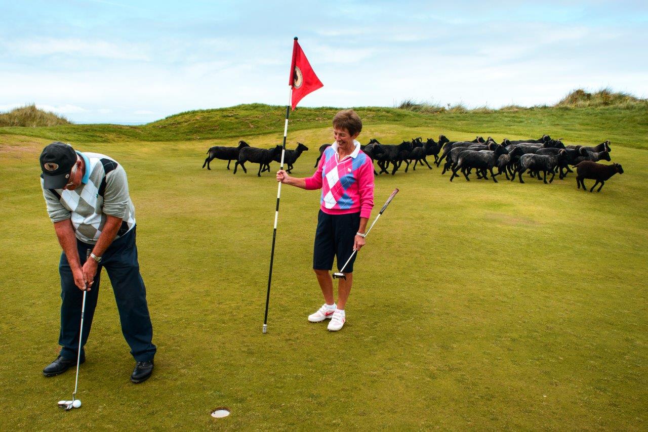 Ryder Cup Gleneagles 2014, por Scotland