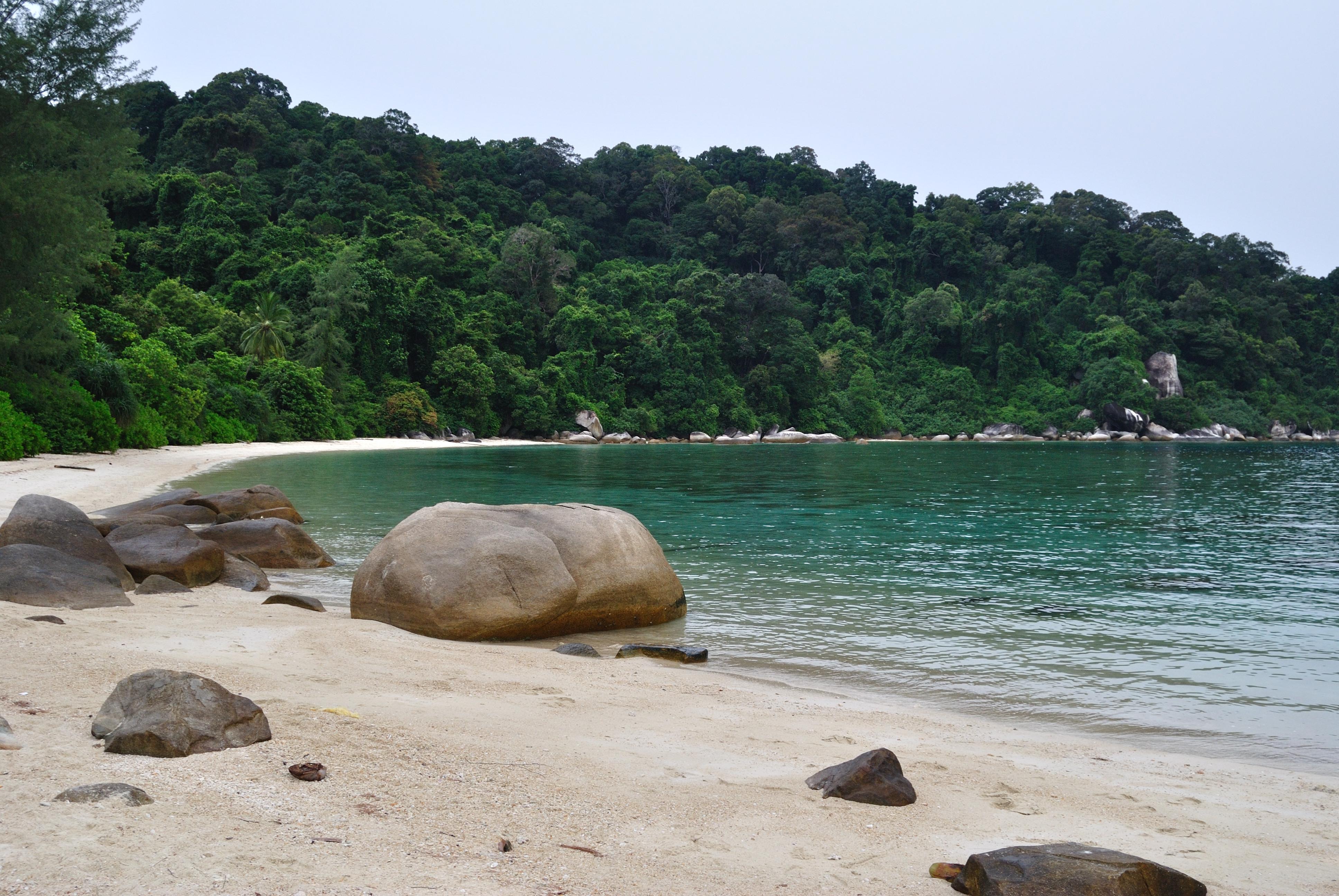 Love beach, por arianna franchin