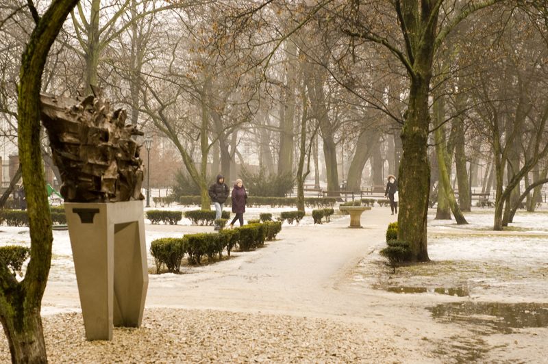 Parque Strzelecki, por Sebastian Muñoz