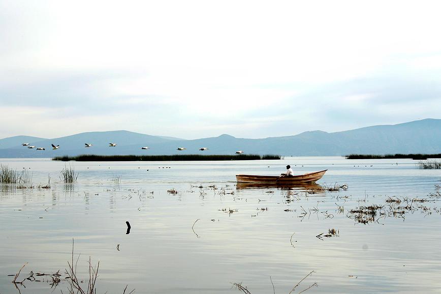 Laguna Chapala, por Judith Hernández