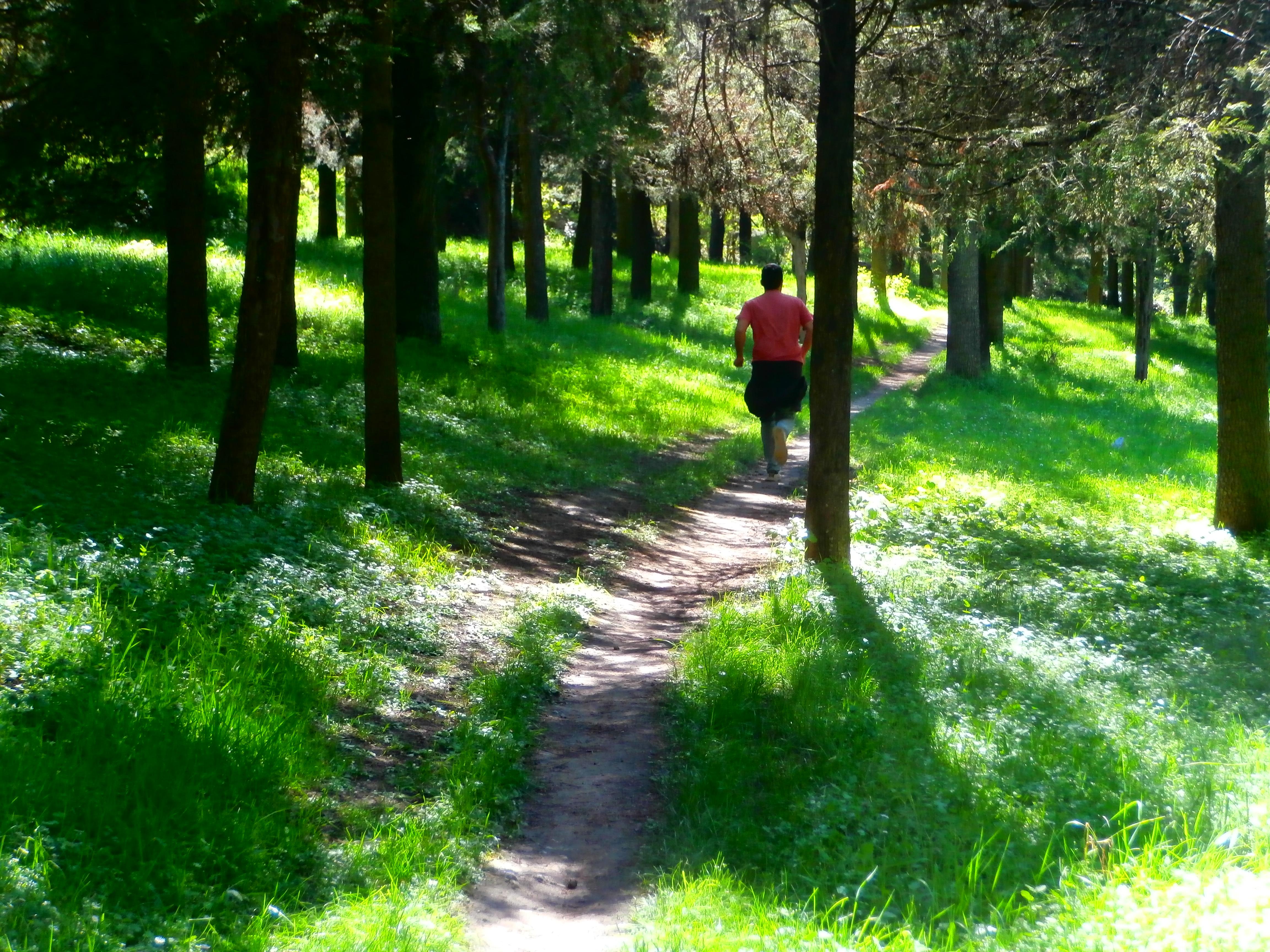 Monte de San Miguel, por Silvia del Moral