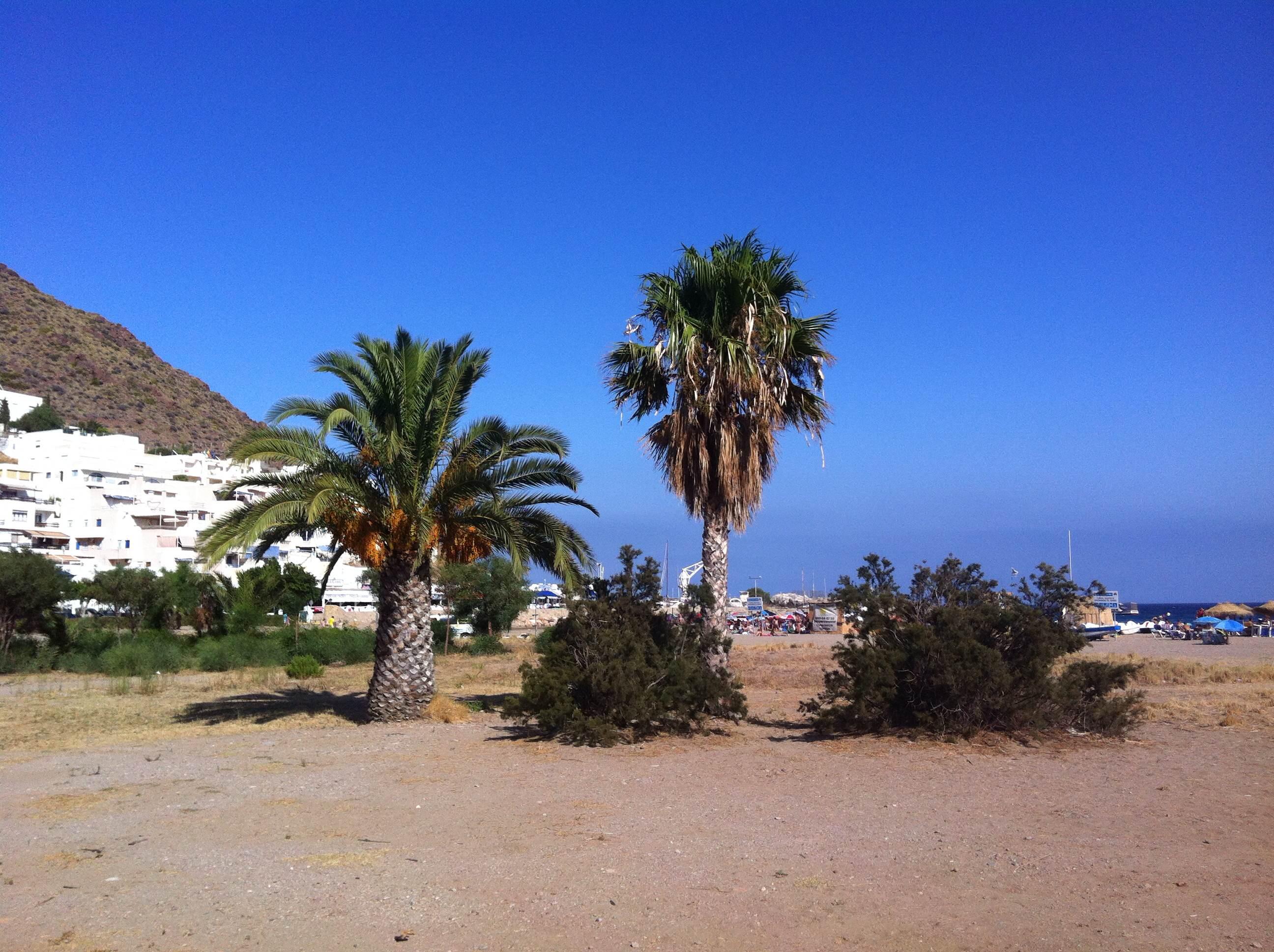 Playa de San Jose, por Jose B.F.