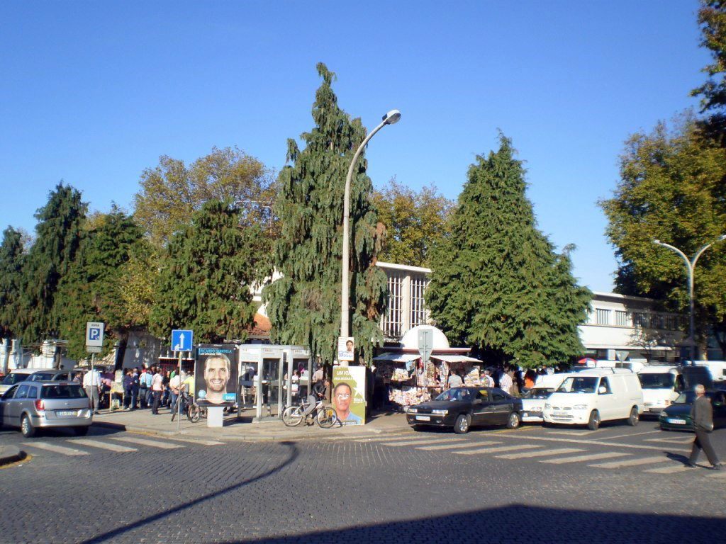 Mercadillo ornitológico, por Lala
