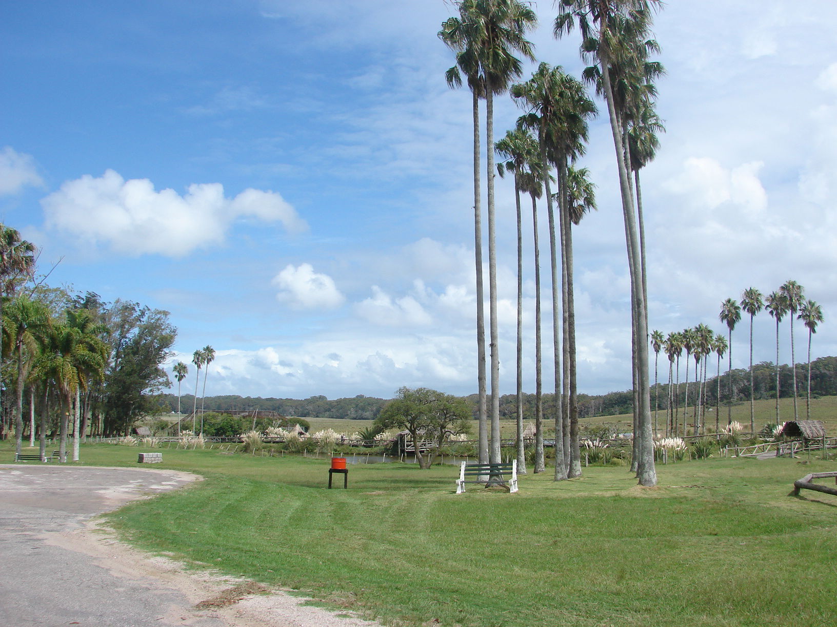 Parque Santa Teresa, por julianna