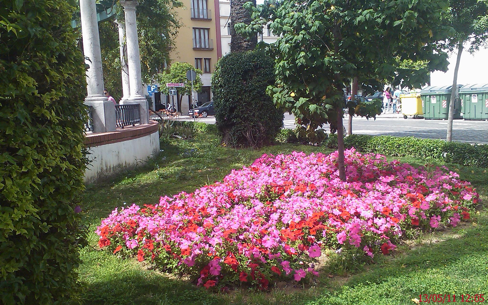 Plaza de las Angustias, por Rocío Heredia Monreal
