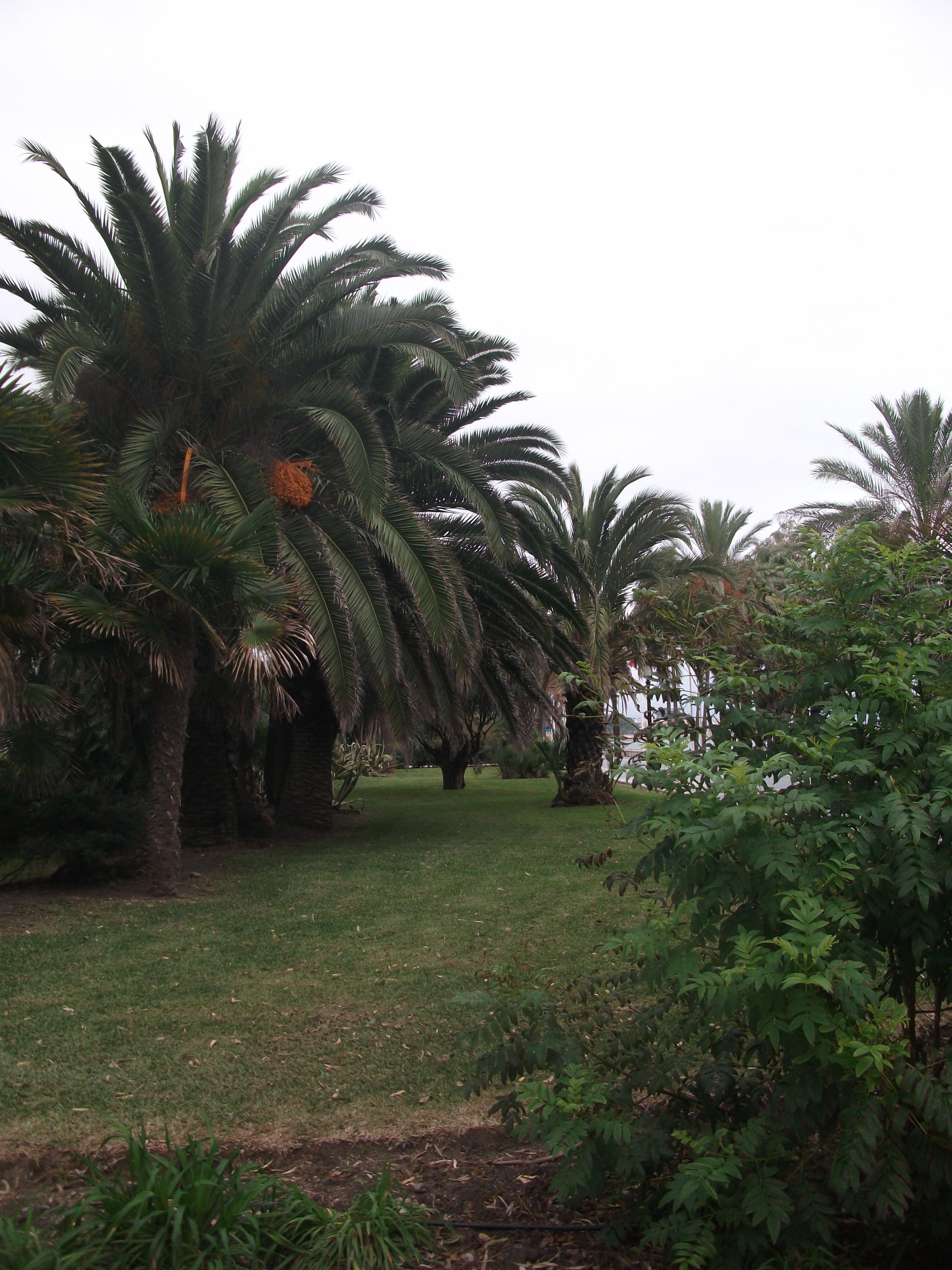 Parque del Paseo Marítimo, por Marilo Marb