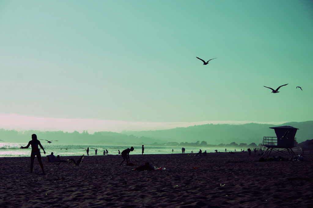 Monterey State Beach, por milom