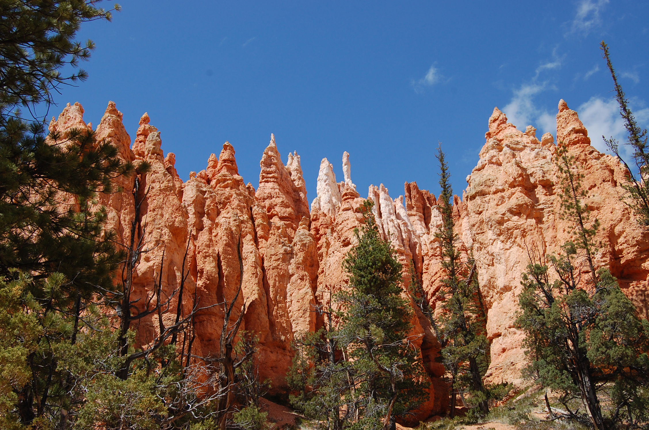 Parque Nacional de Bryce Canyon, por Estela Lull (Hatsue)