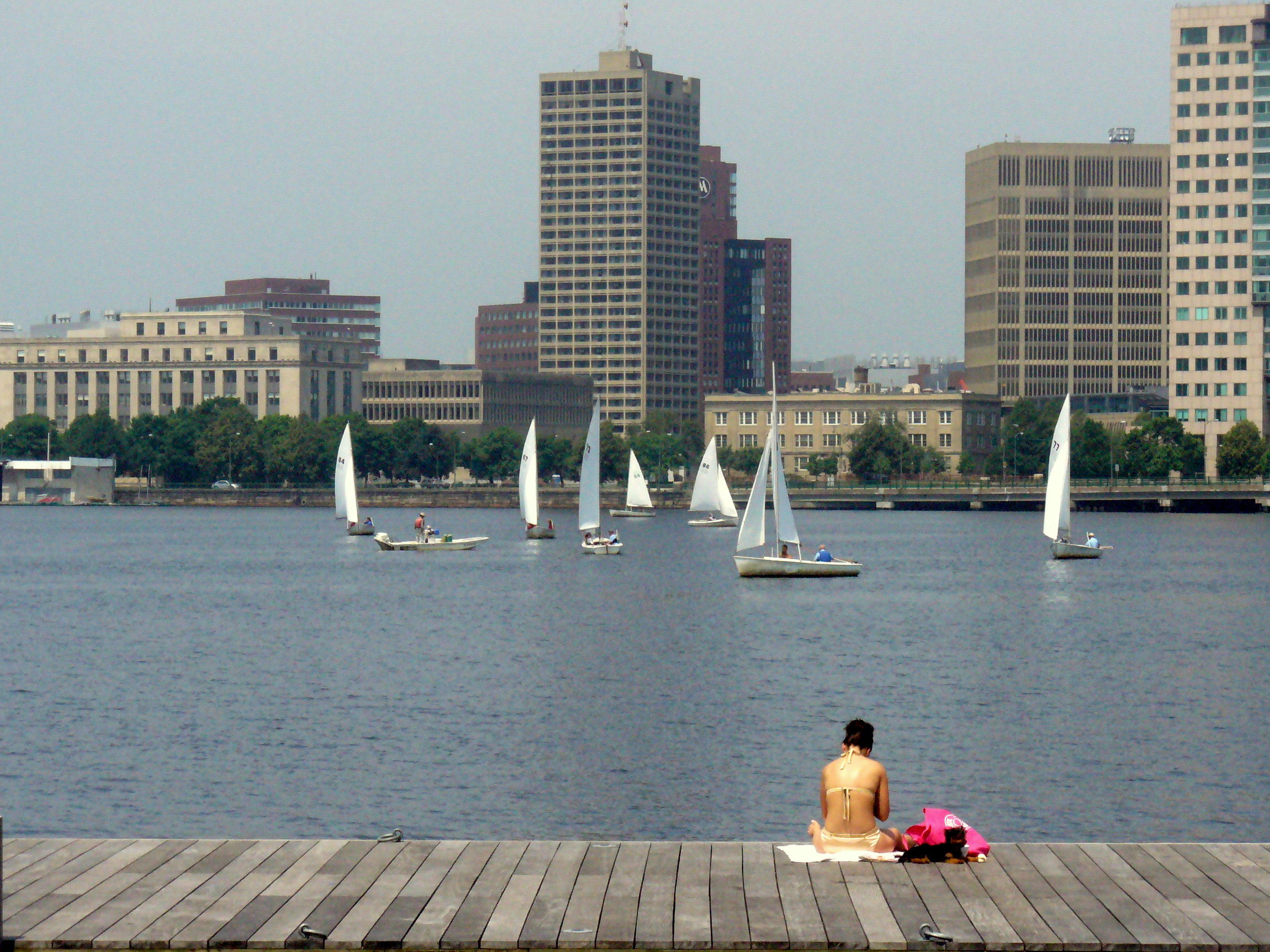 Aire libre en Boston: descubre los espacios naturales más encantadores