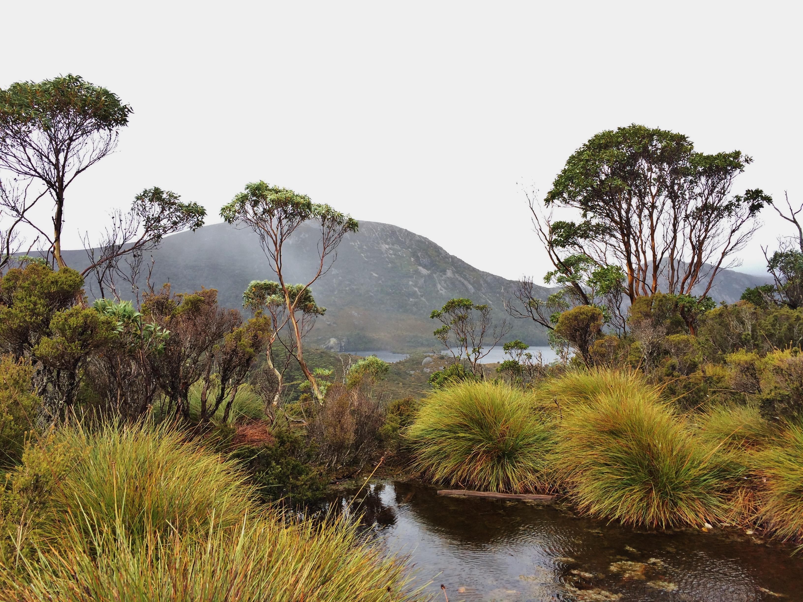 Cradle Mountain National Park, por Aida Garcia