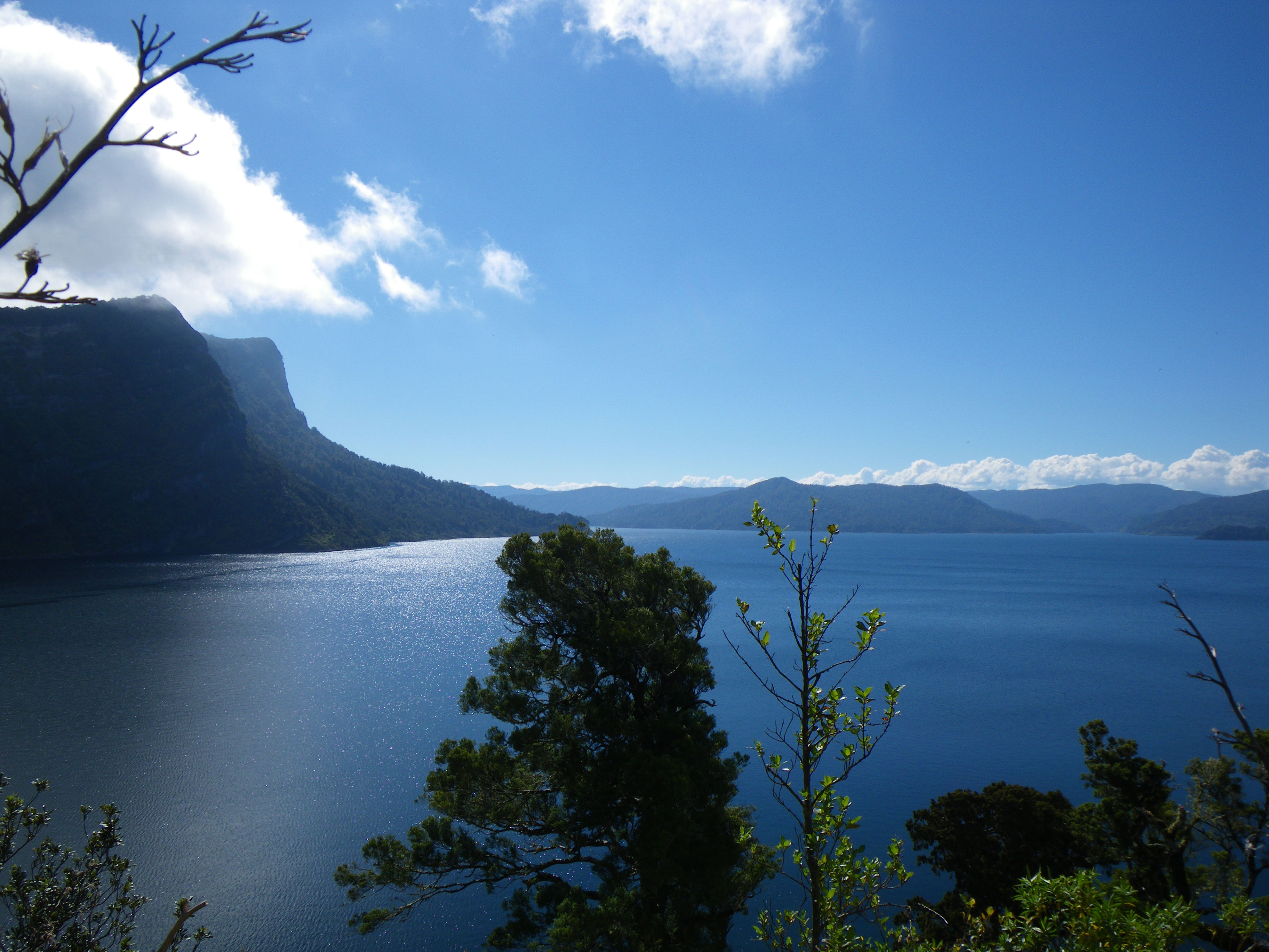 Te Urewera National Park, por Zombeni