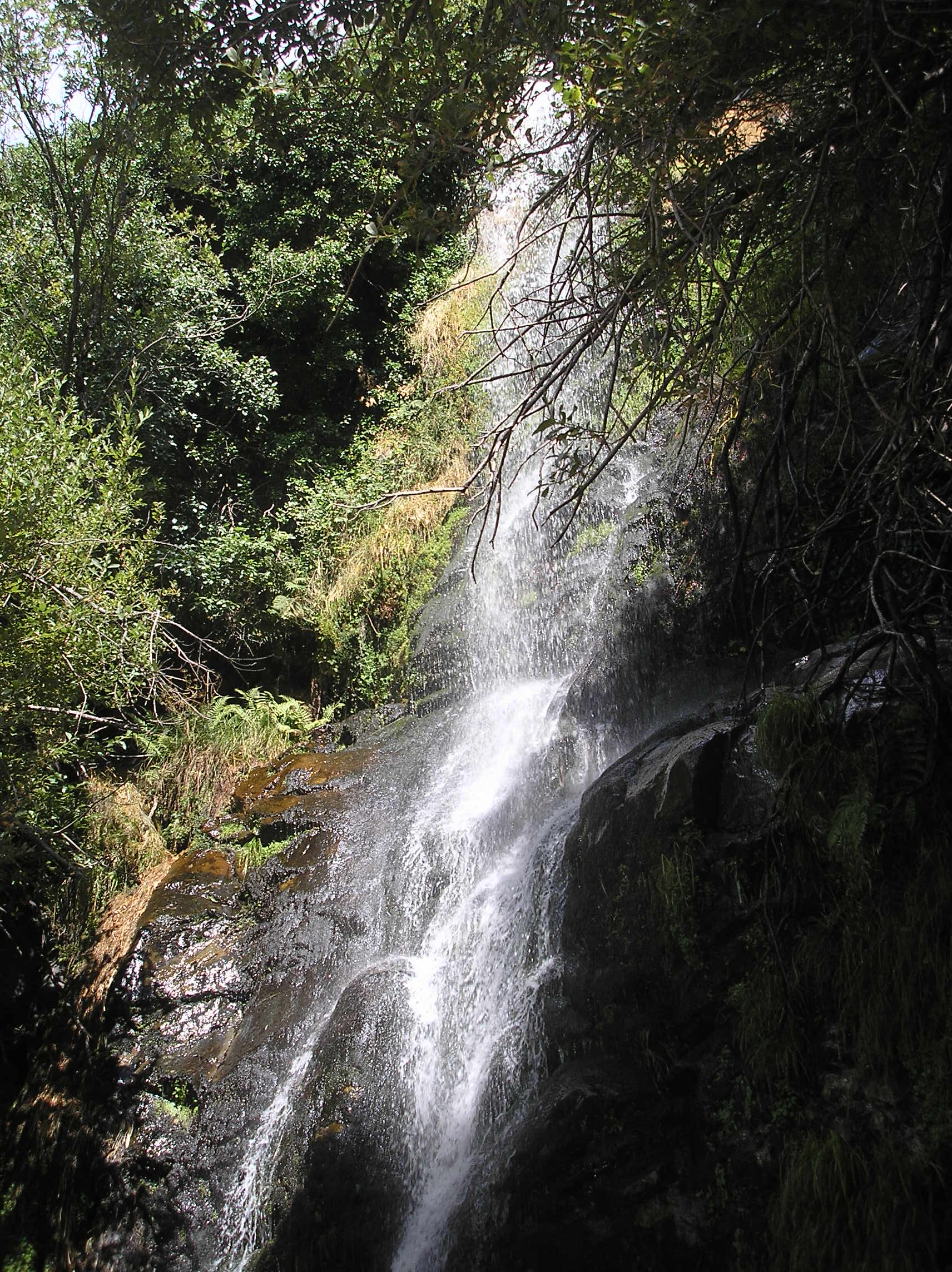 La Chorrera, por isalatrendi