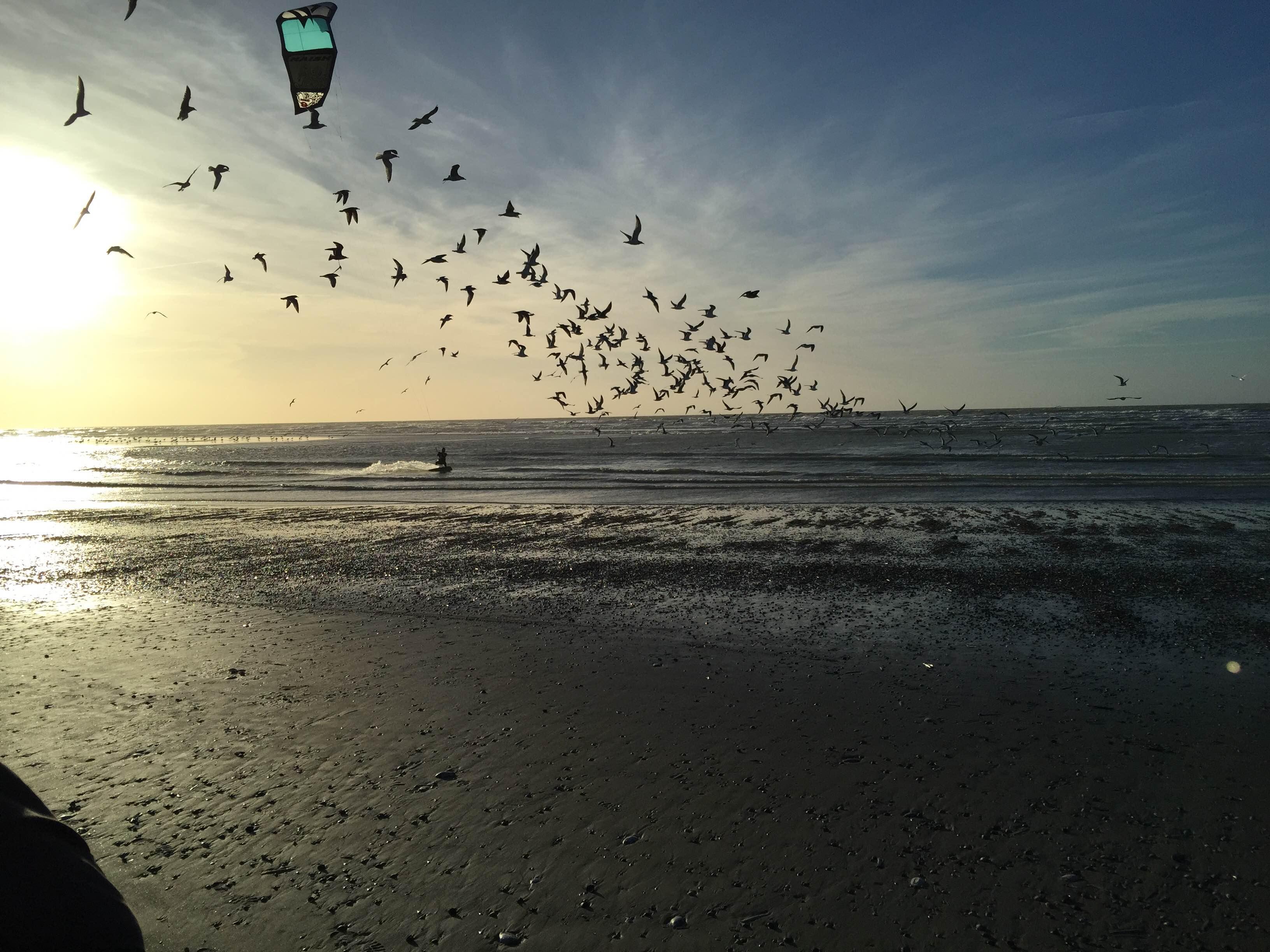 Playa del touquet, por asseman