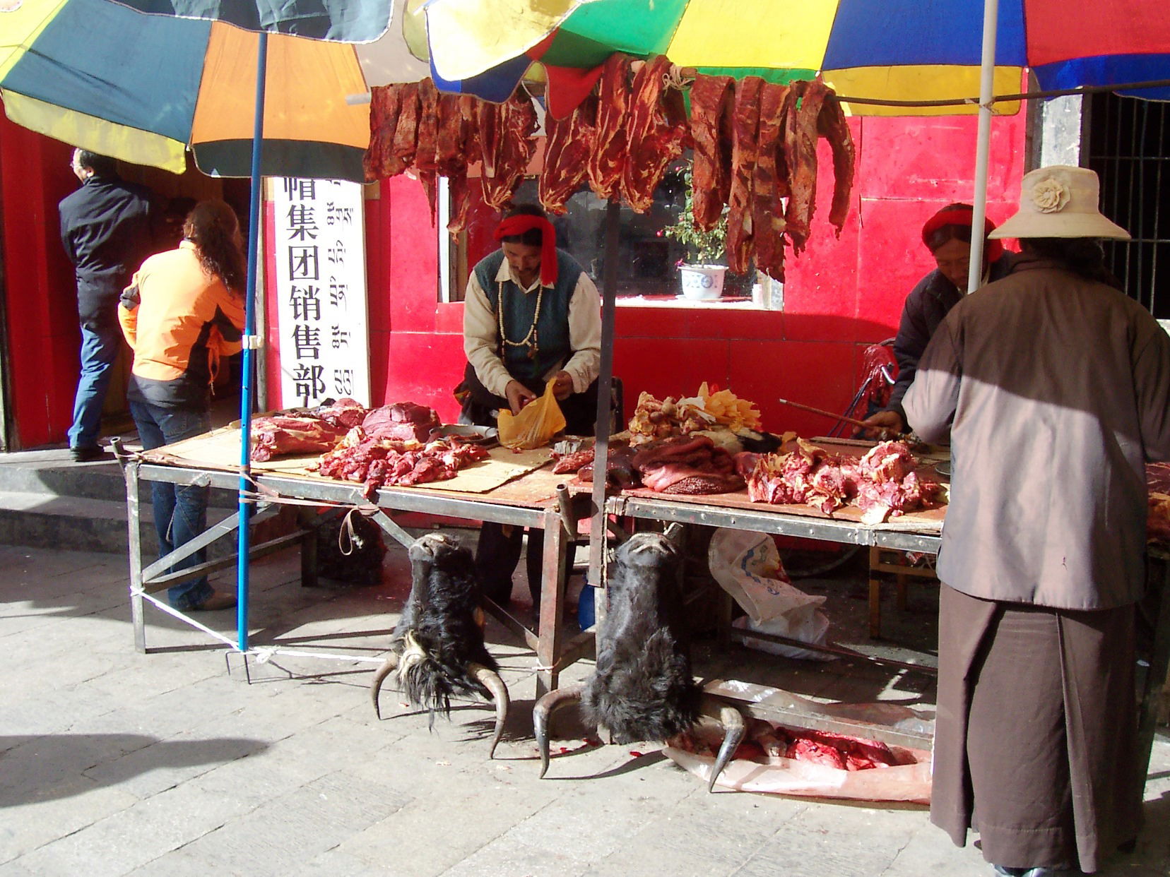 Lhasa, por Raquel de los Reyes