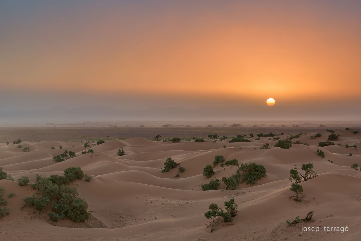 Zagora, por Josep Tarragó
