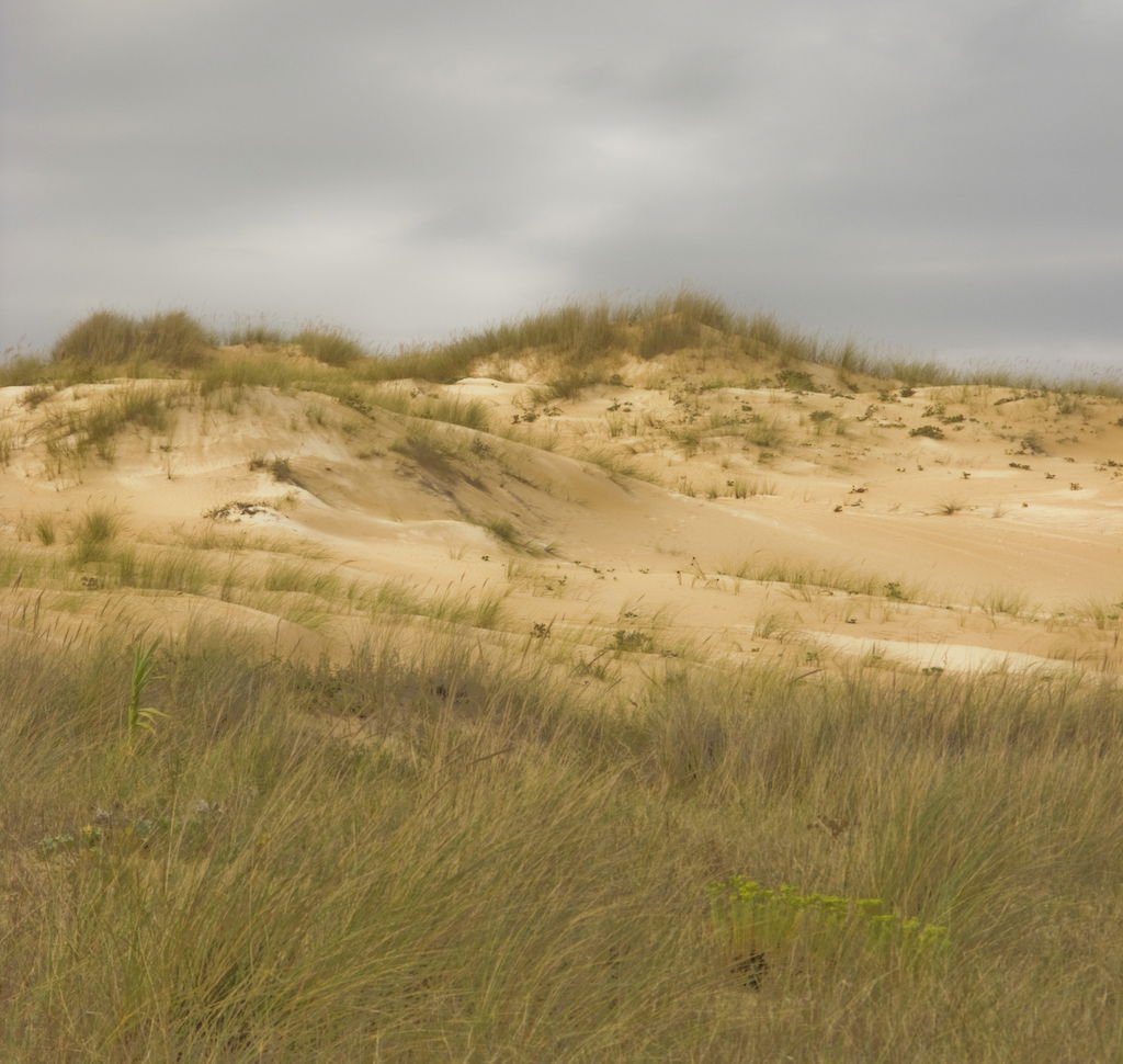 Dunas de Corrubedo, por José Martínez Cámara