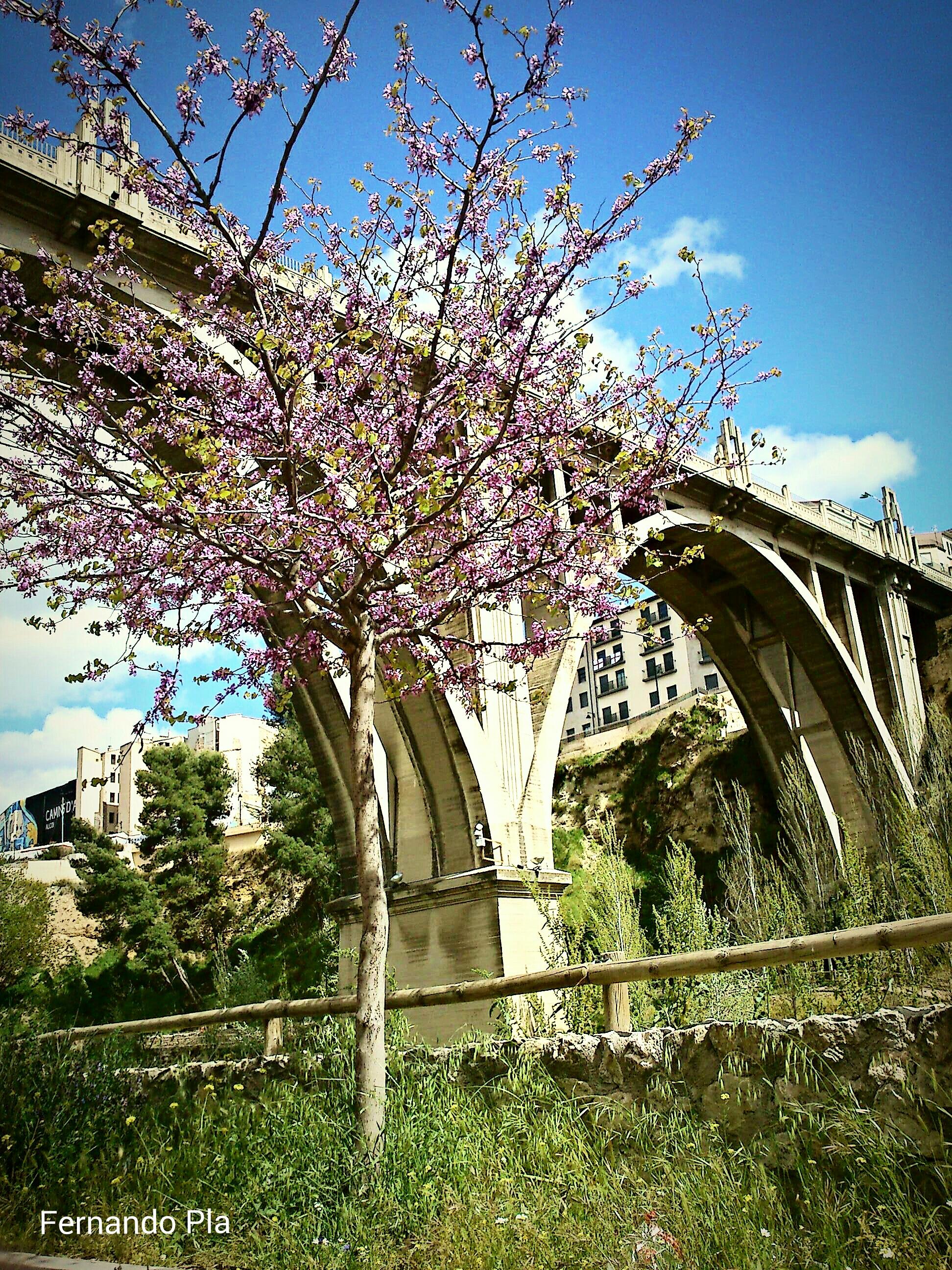 Puente de Sant Jordi, por Fernando Pla