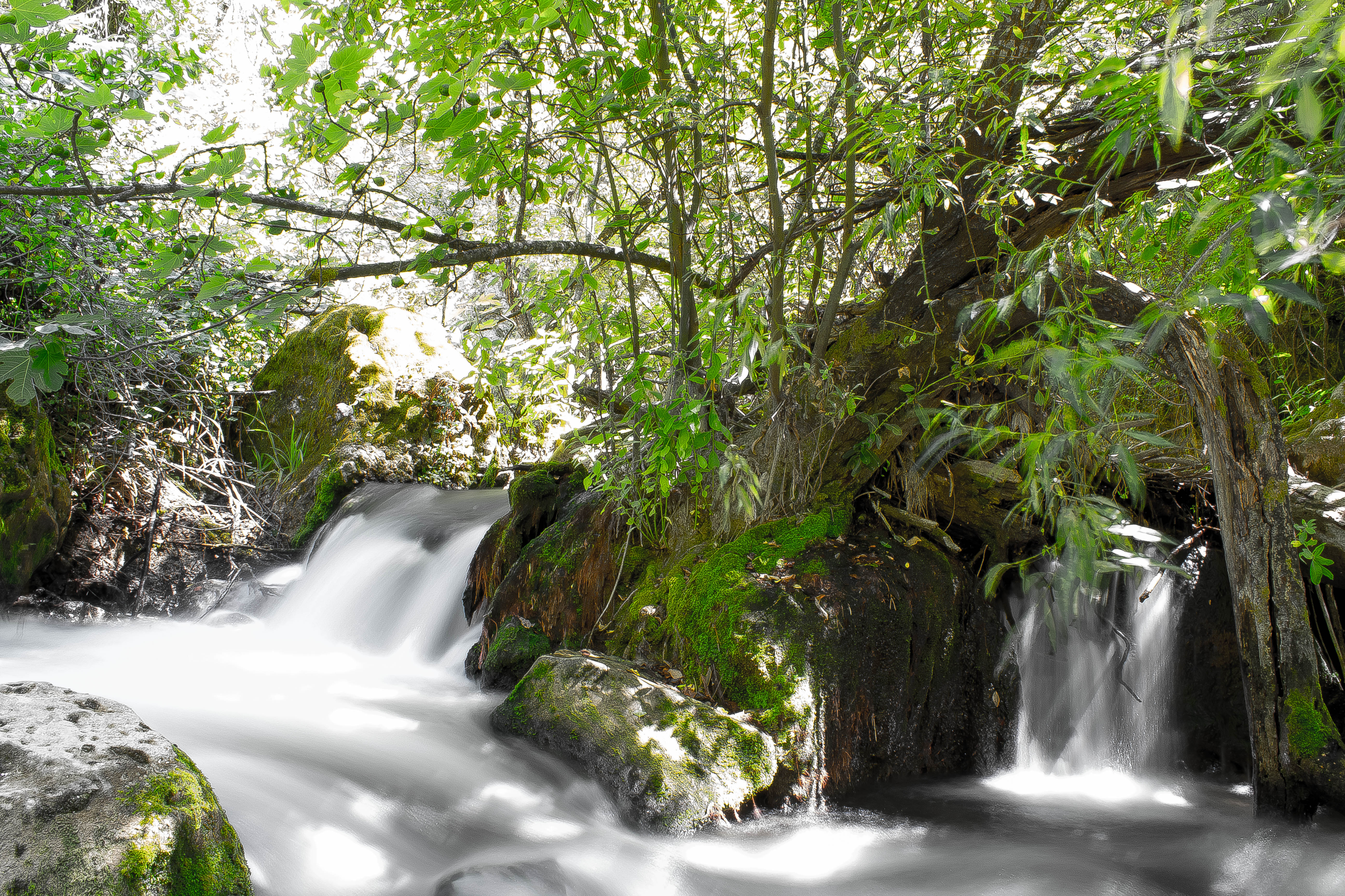 Ríos de Cádiz: descubre sus encantos naturales y sus rutas imprescindibles