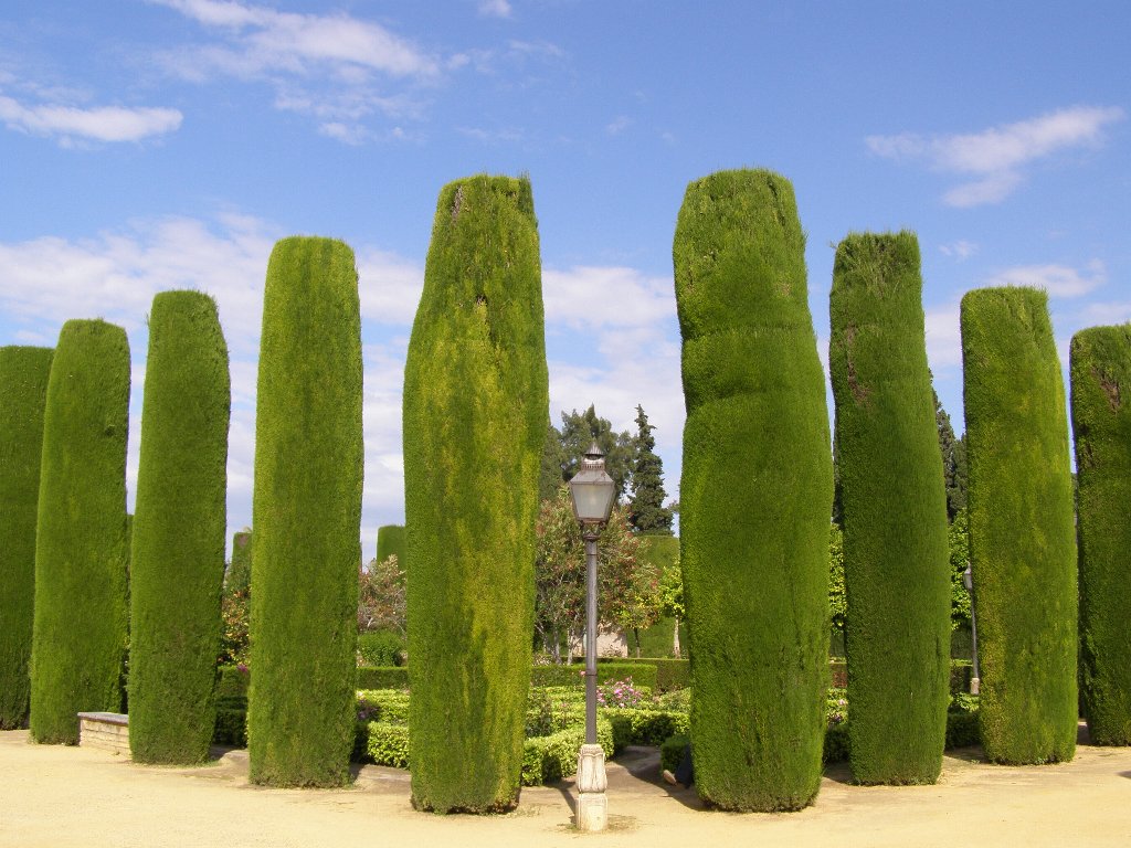 Jardines del Alcazar de Cordoba, por nuria
