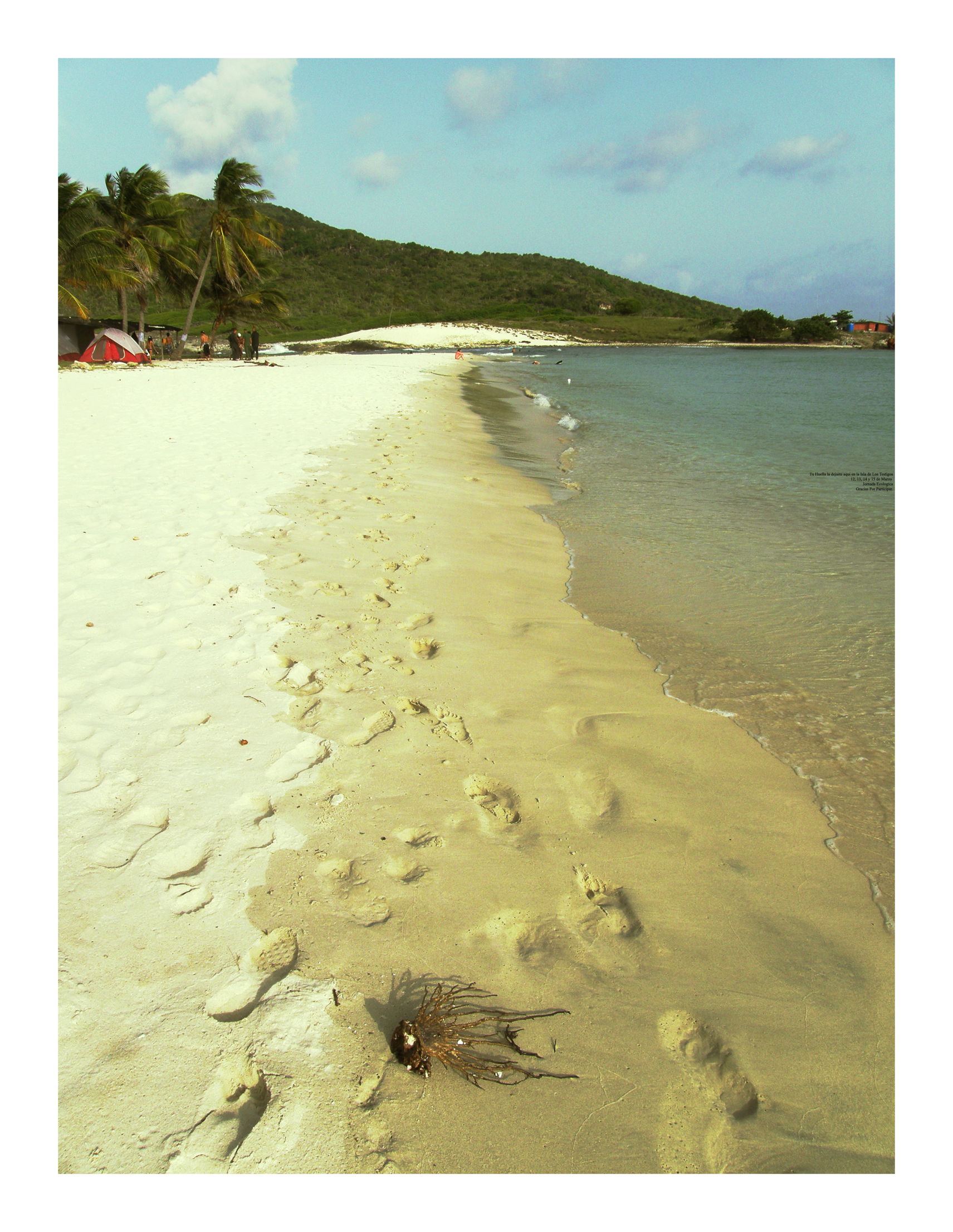 Islote La Iguana ( Isla de los Testigos), por alexandra messuti