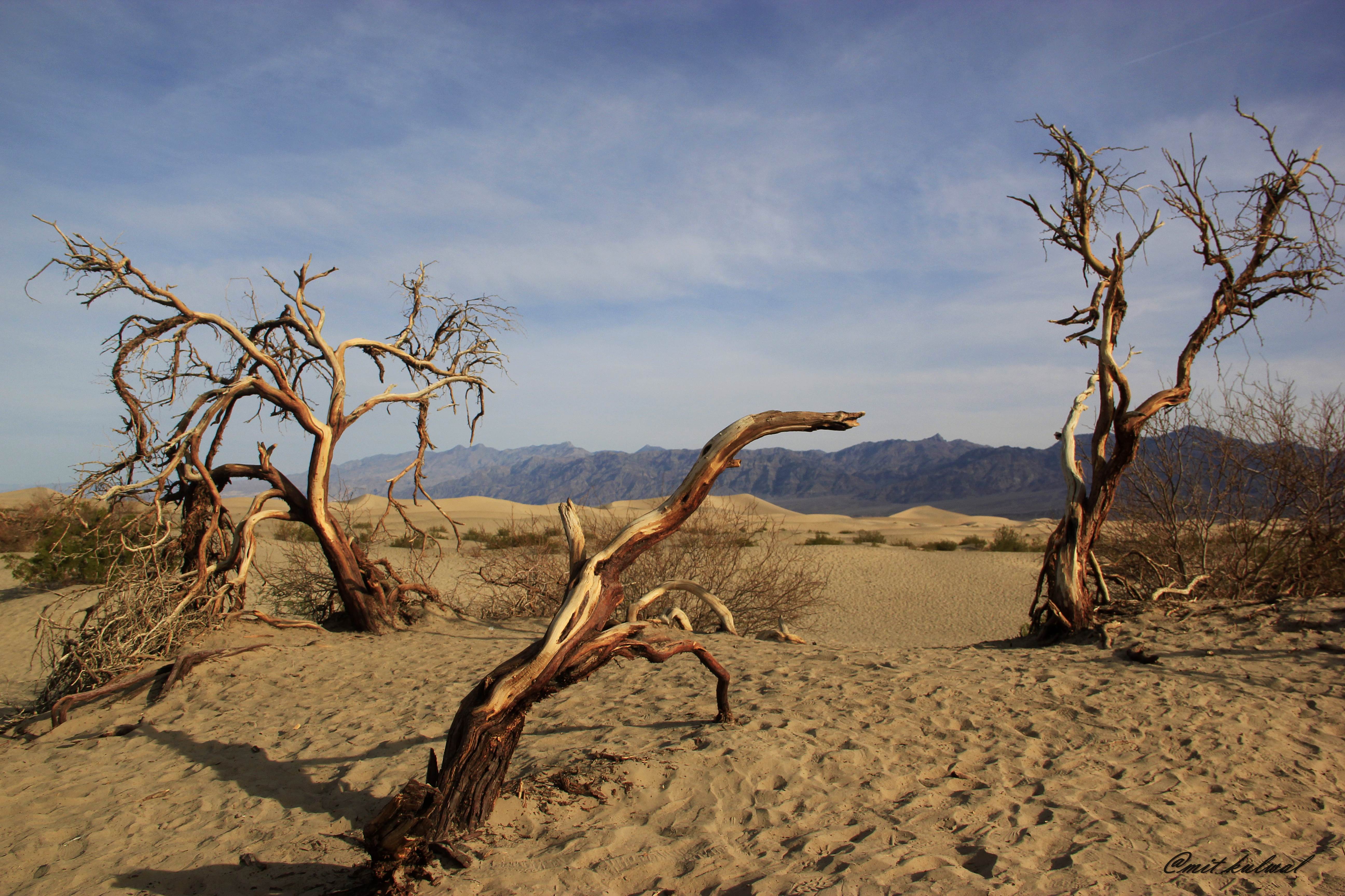 Mesquite Flat Sand Dunes, por Amit Kulwal