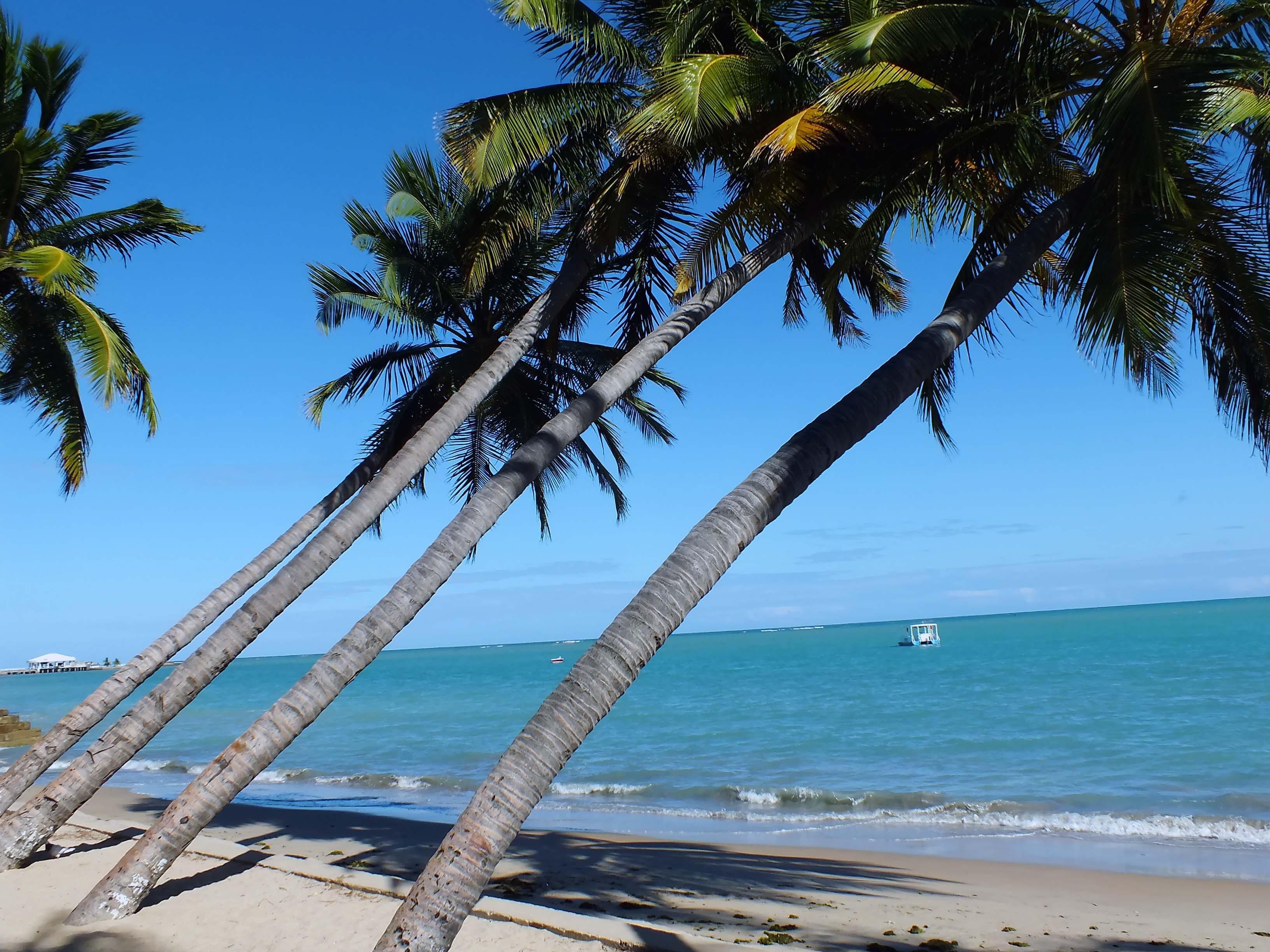 Playa de Ponta Verde, por Eloisa Carvalho