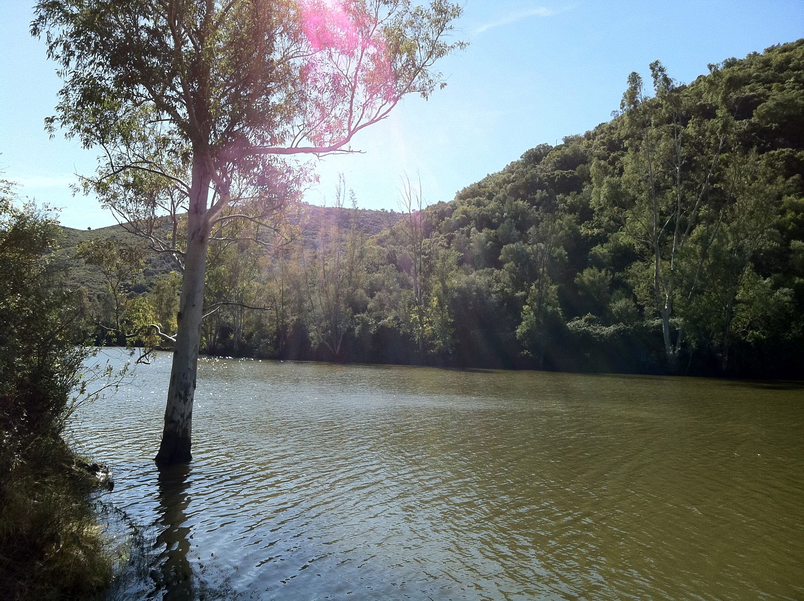 Pantano De Guillena, por charo