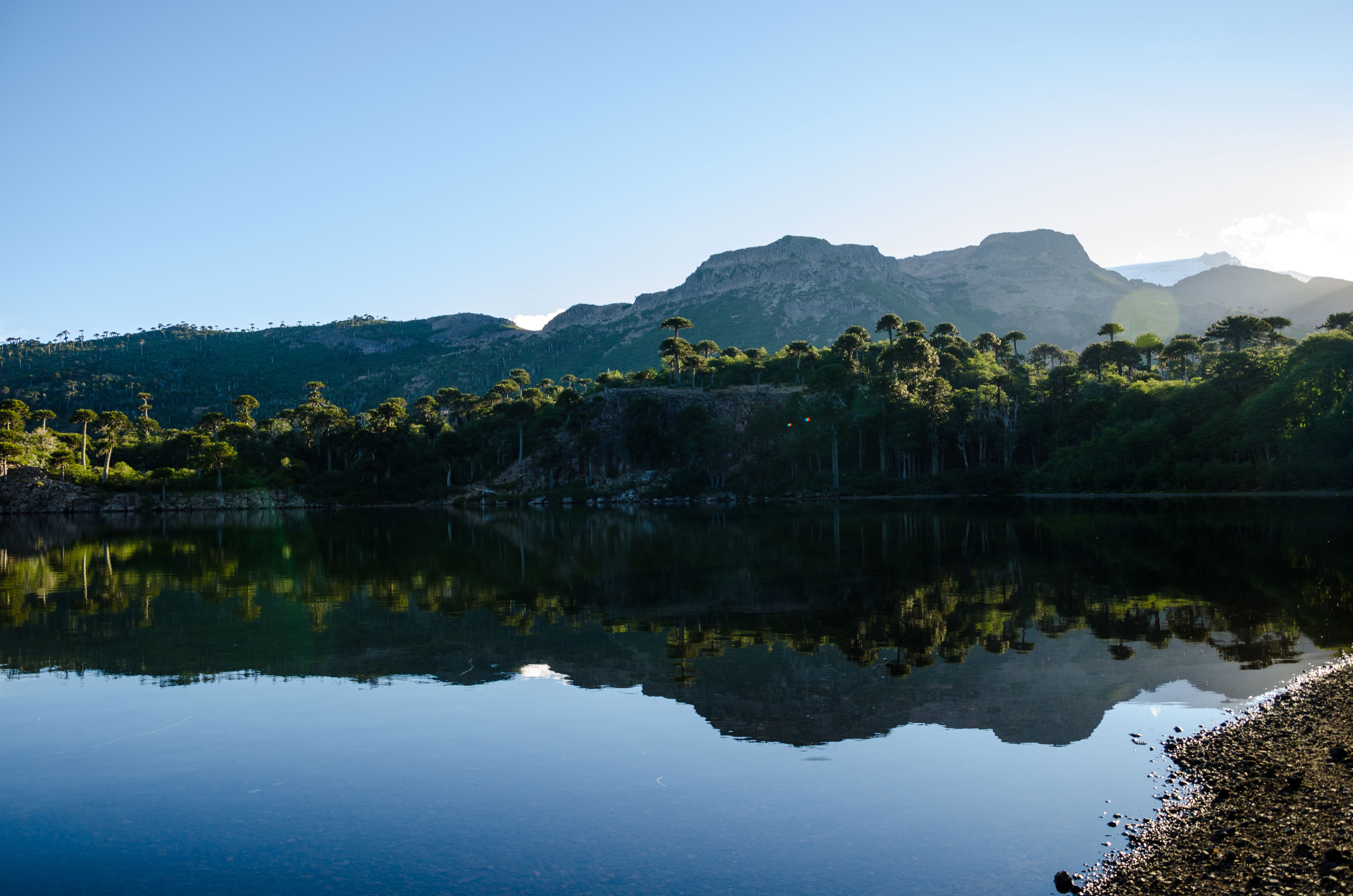 Lagos de Bío Bío: descubre la magia de sus paraísos acuáticos