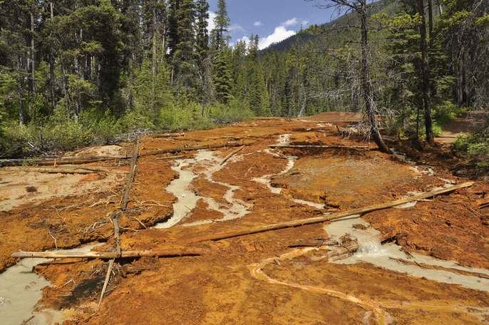 Parque nacional de Kootenay, por albertoloyo