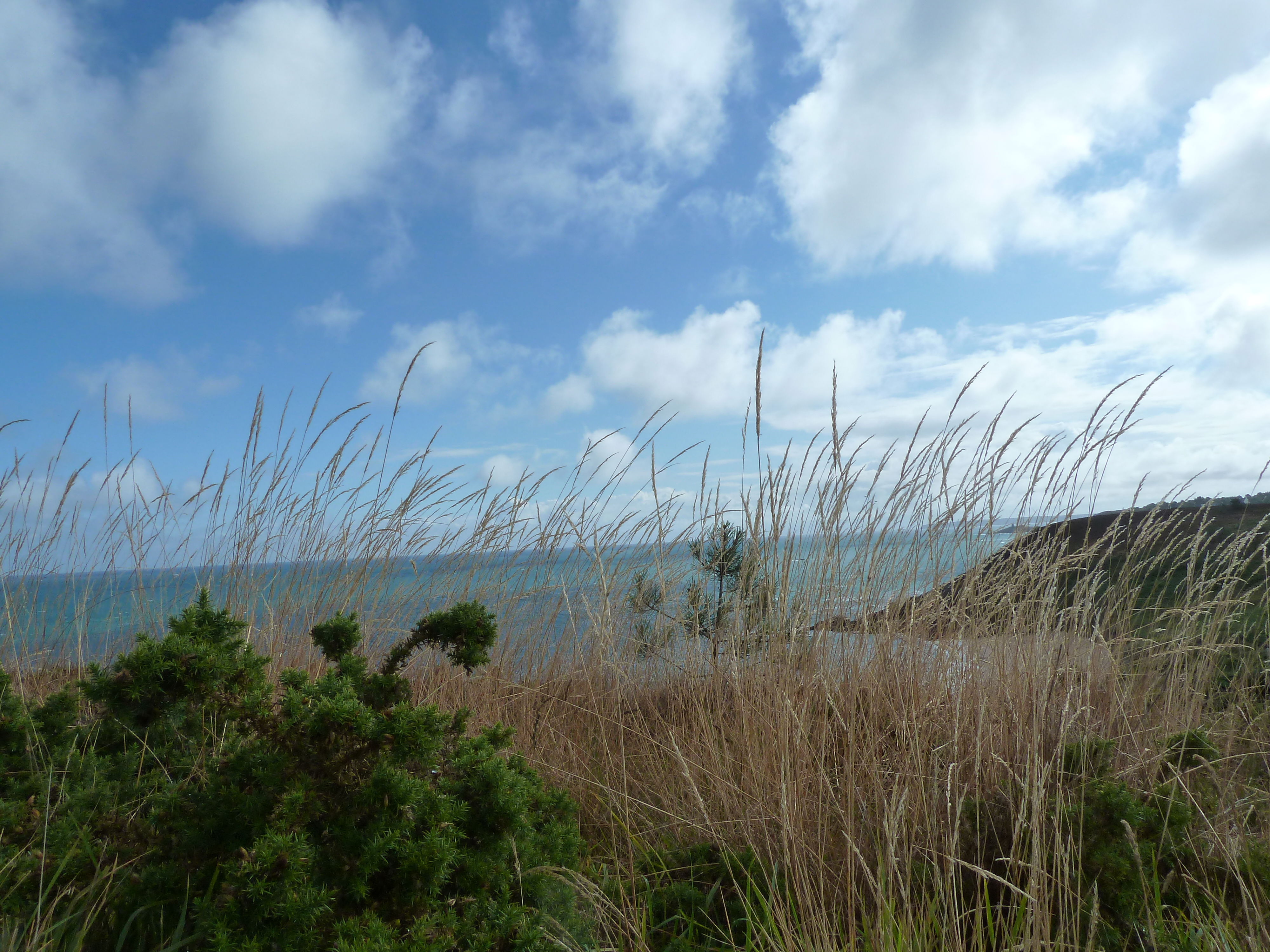 Playas en Côtes-d'Armor: un paraíso costero por descubrir