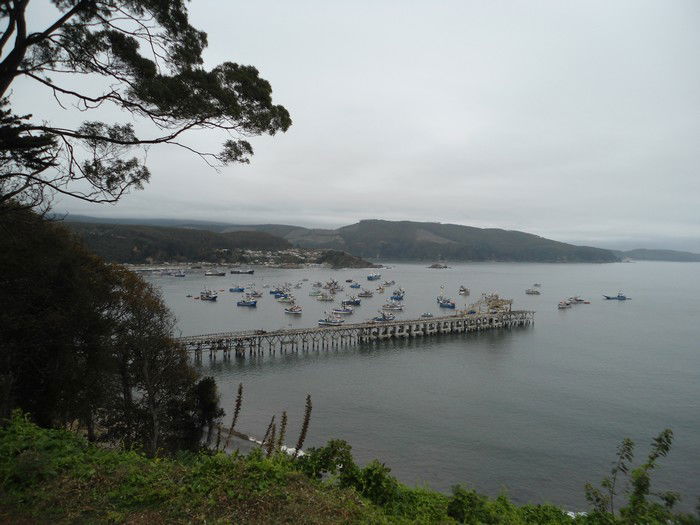 Port de Lota à Lota: 4 expériences et 2 photos