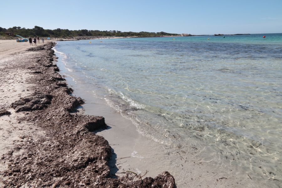 Platja d´es Dolç, por ANADEL