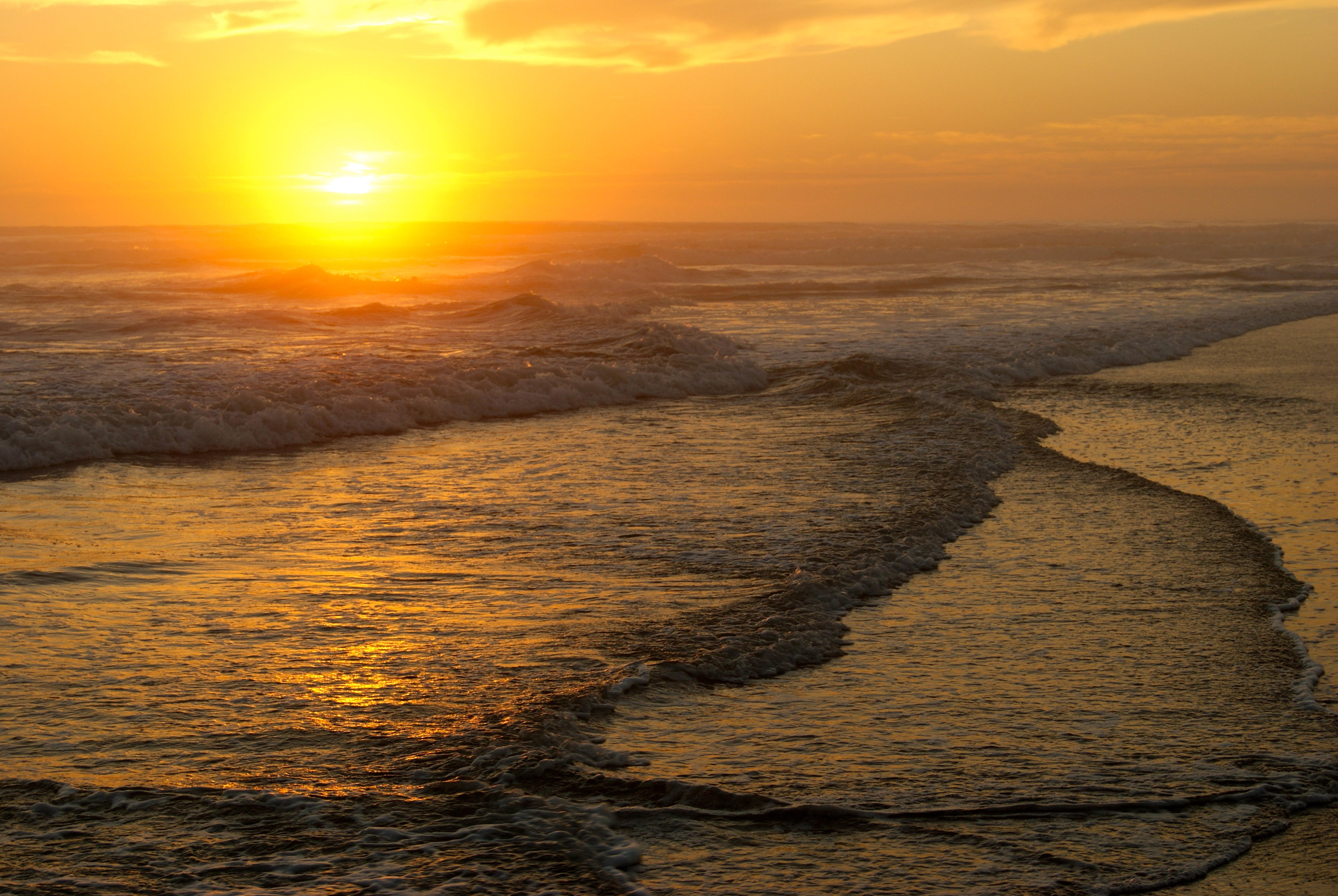 Playa de Seignosse, por pauline taveneau