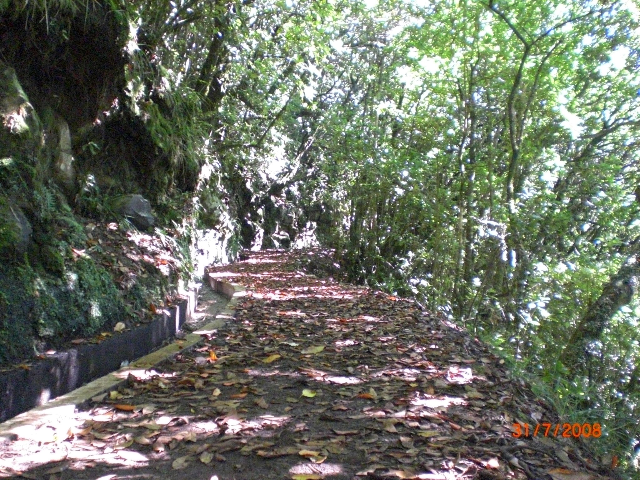 Funchal, por gimenacelaya