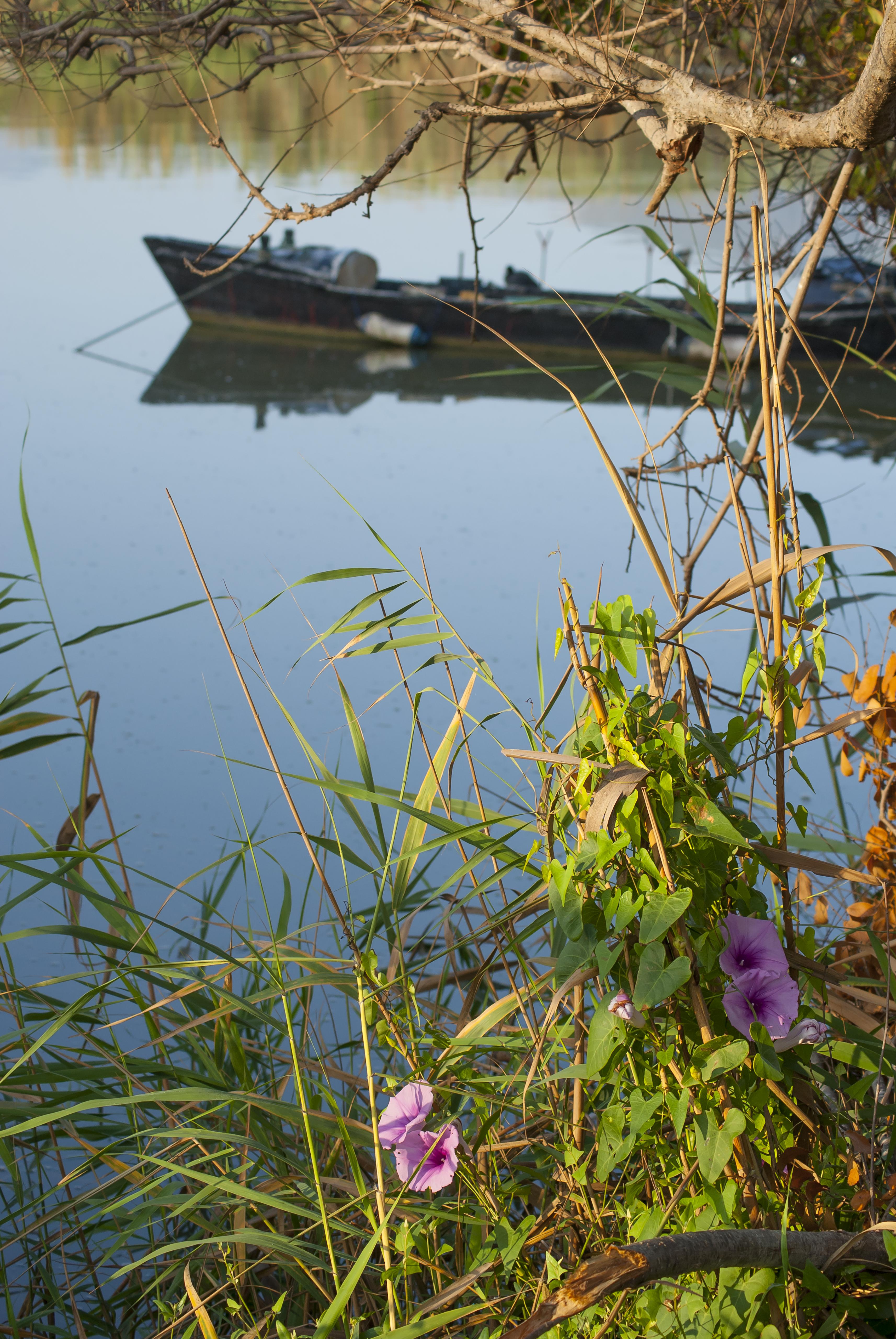 L'Estany, por vicente tamarit ferrer