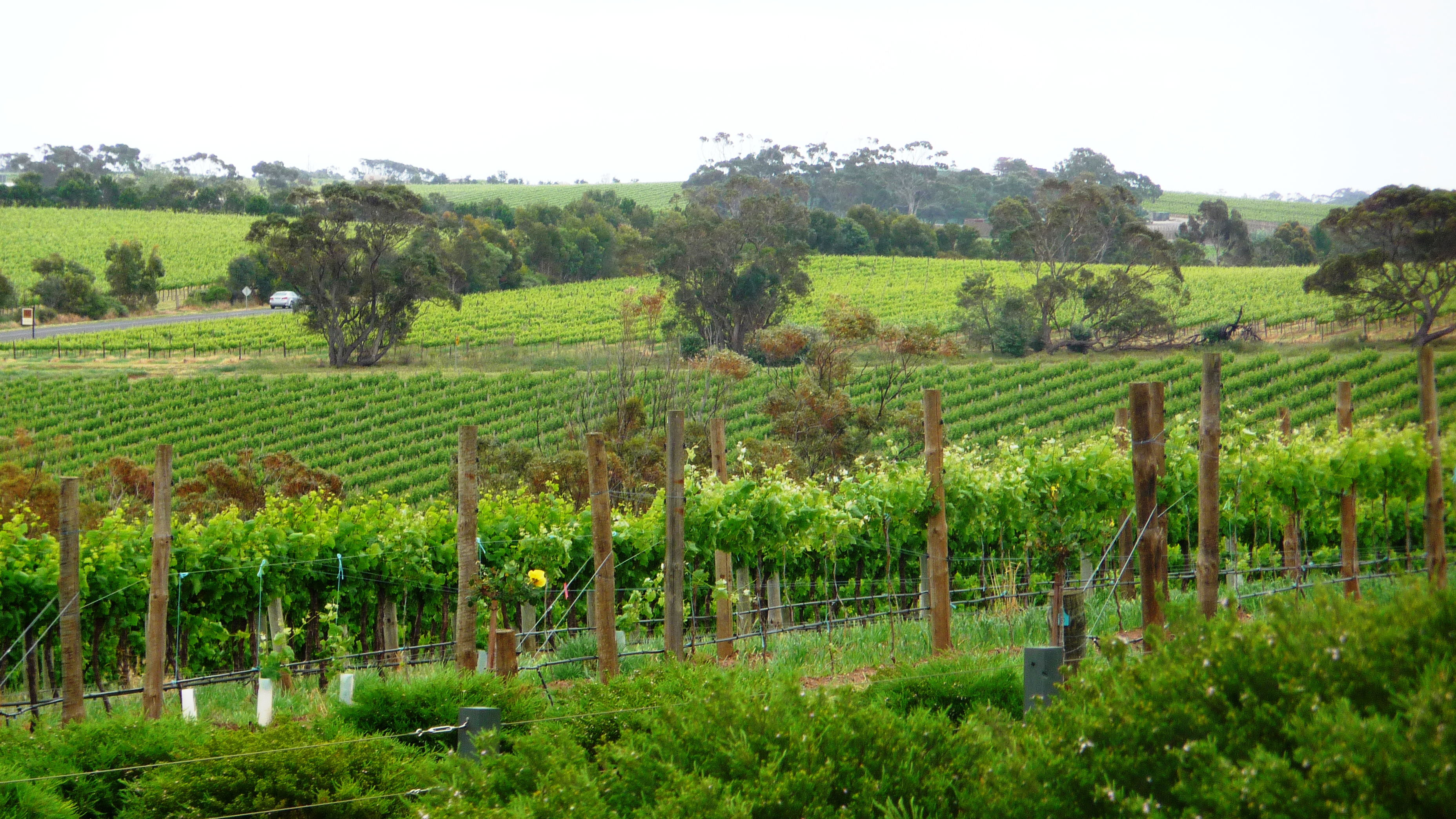 Adelaide Hills, por Marine