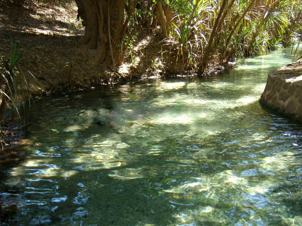 Katherine Hot Springs, por macgreg