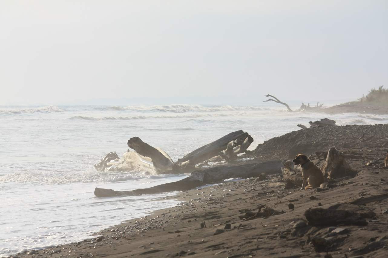 Playa Dominical, por Las Aventuras de Ruvik